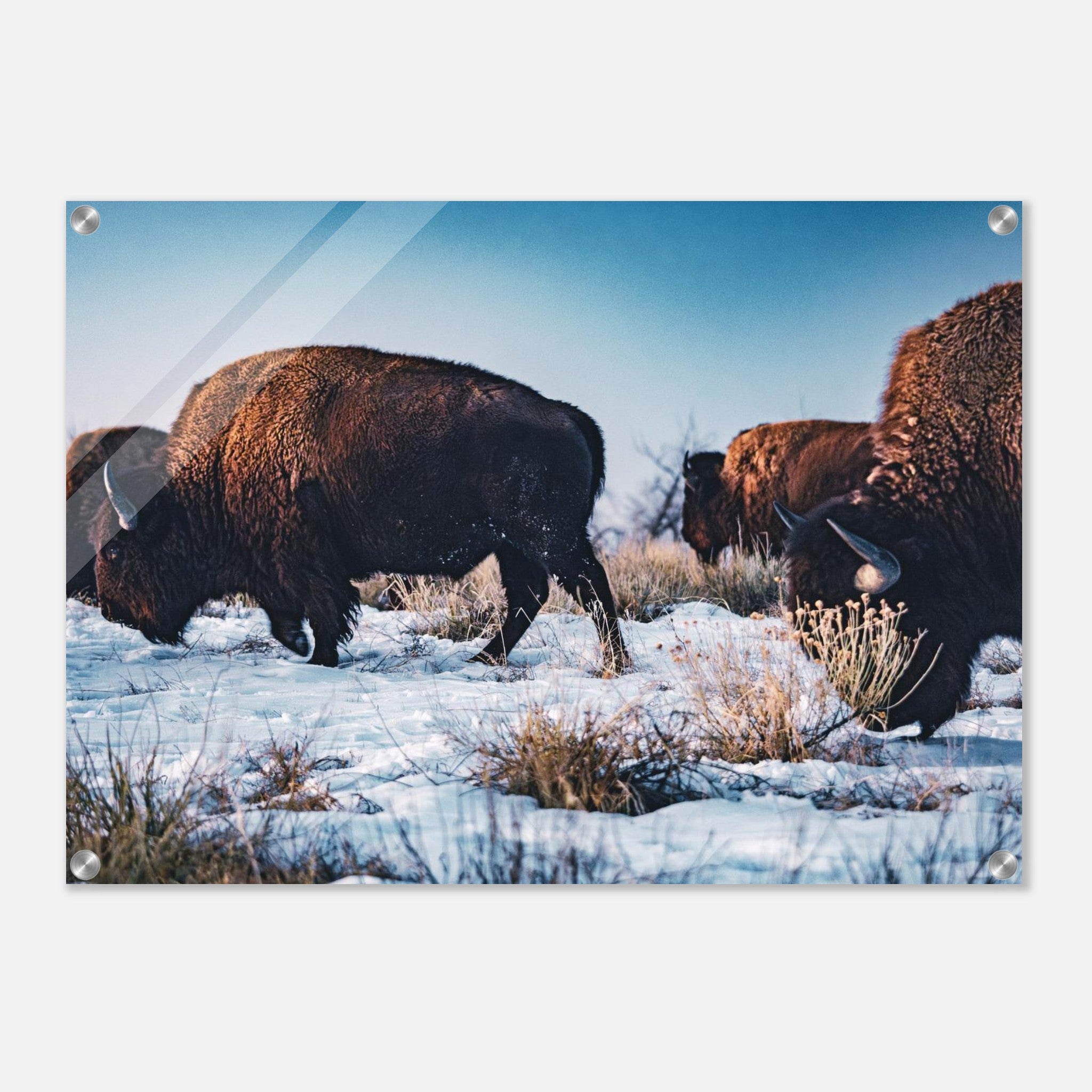 6d89fd9e-c7f3-4d98-9fae-1e9c25b18315