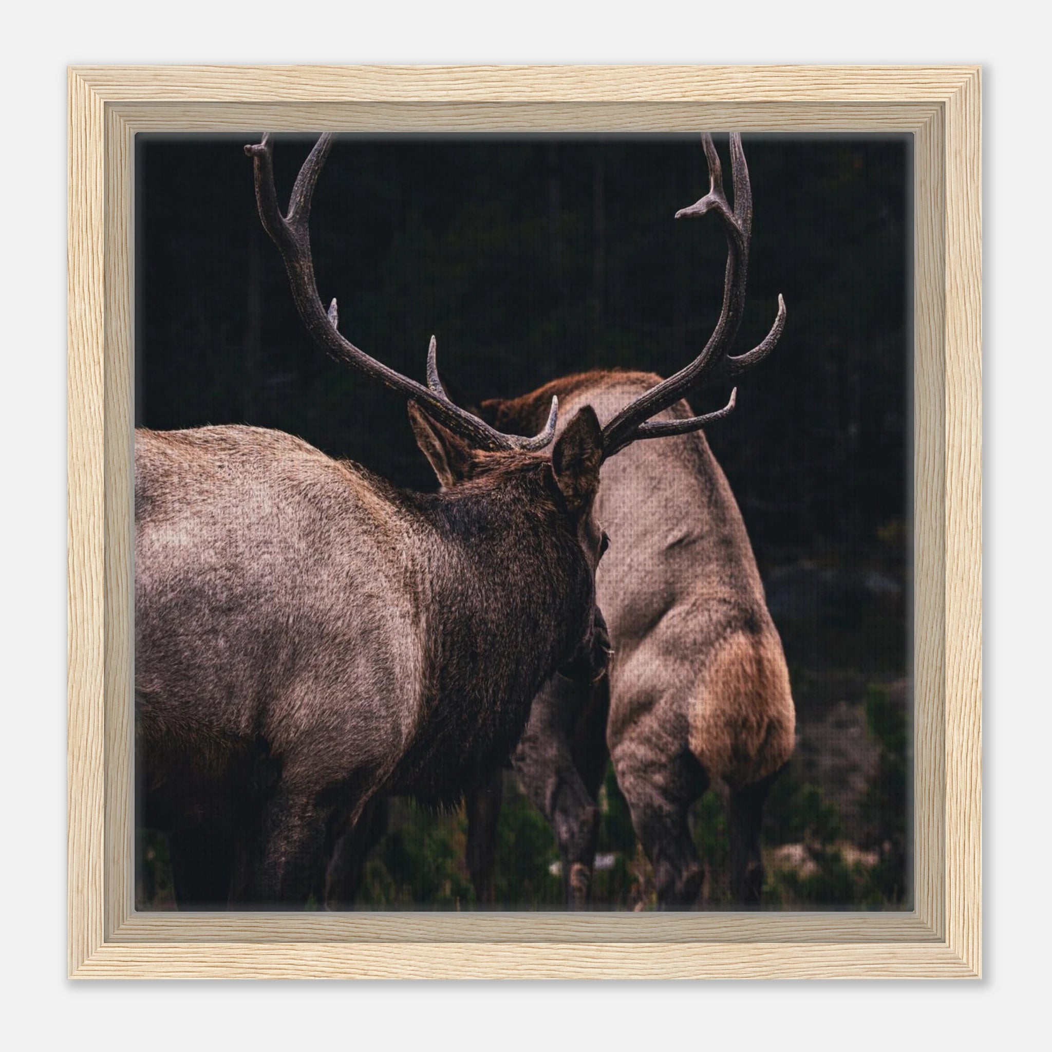 6e6f5b6f-0308-4acc-95b7-c9699bc9771b