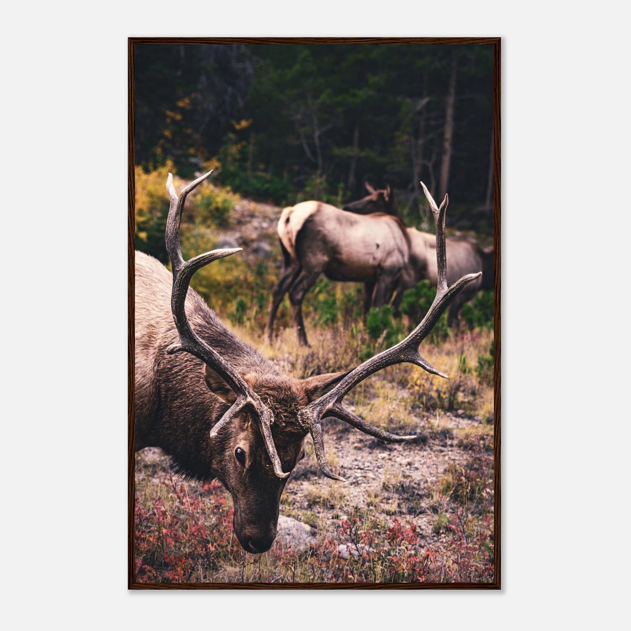 70412a07-1bd3-428a-9f27-4a90721baf2e