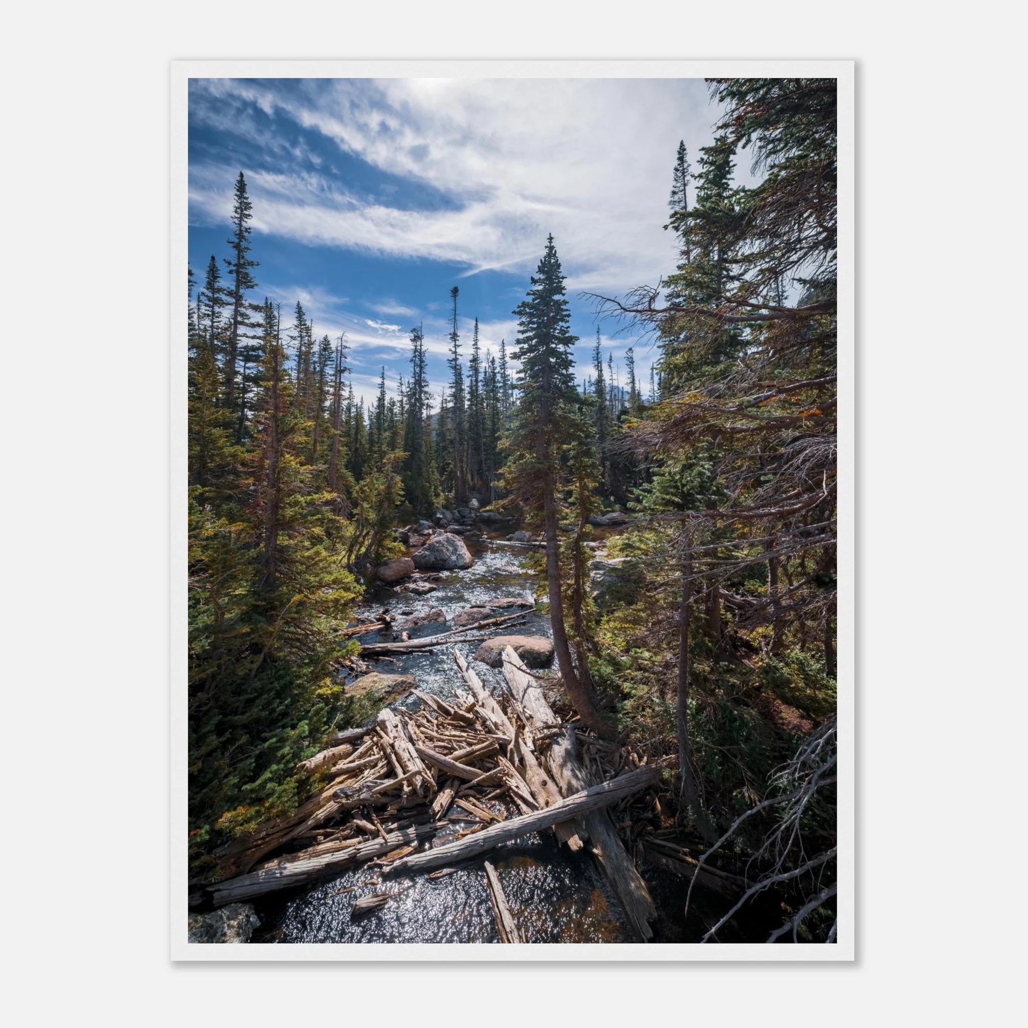 70a4f4e0-c4fc-42db-a6e6-0f604f43f5f5