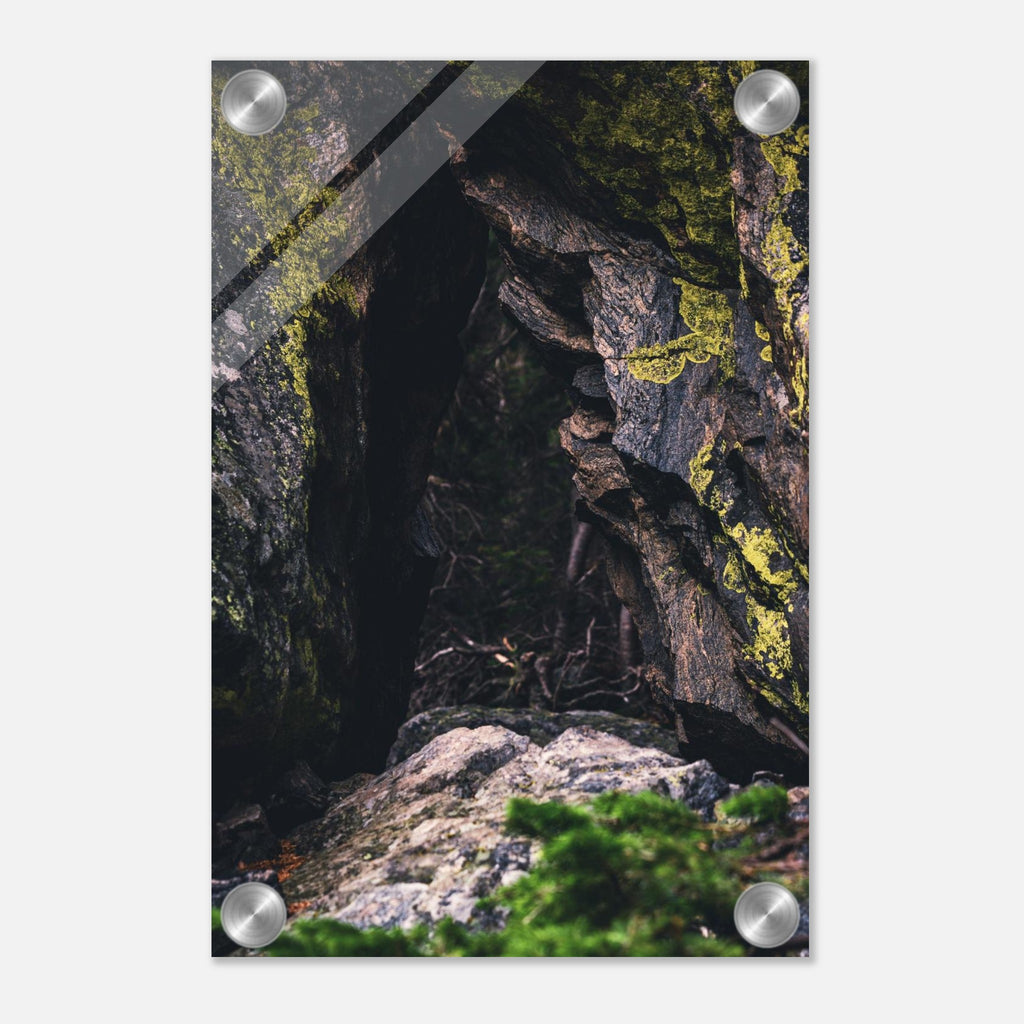 71015c41-0b00-43eb-9525-2fbb4048787a