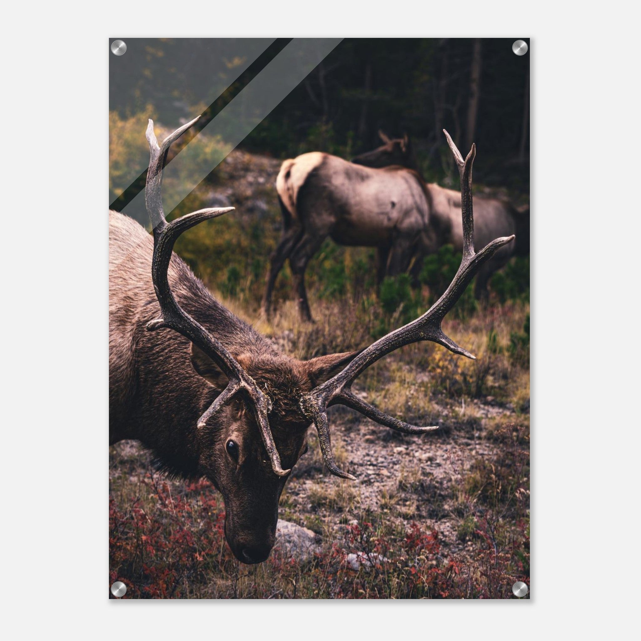 71b70199-d829-471b-a8ae-bec336720277