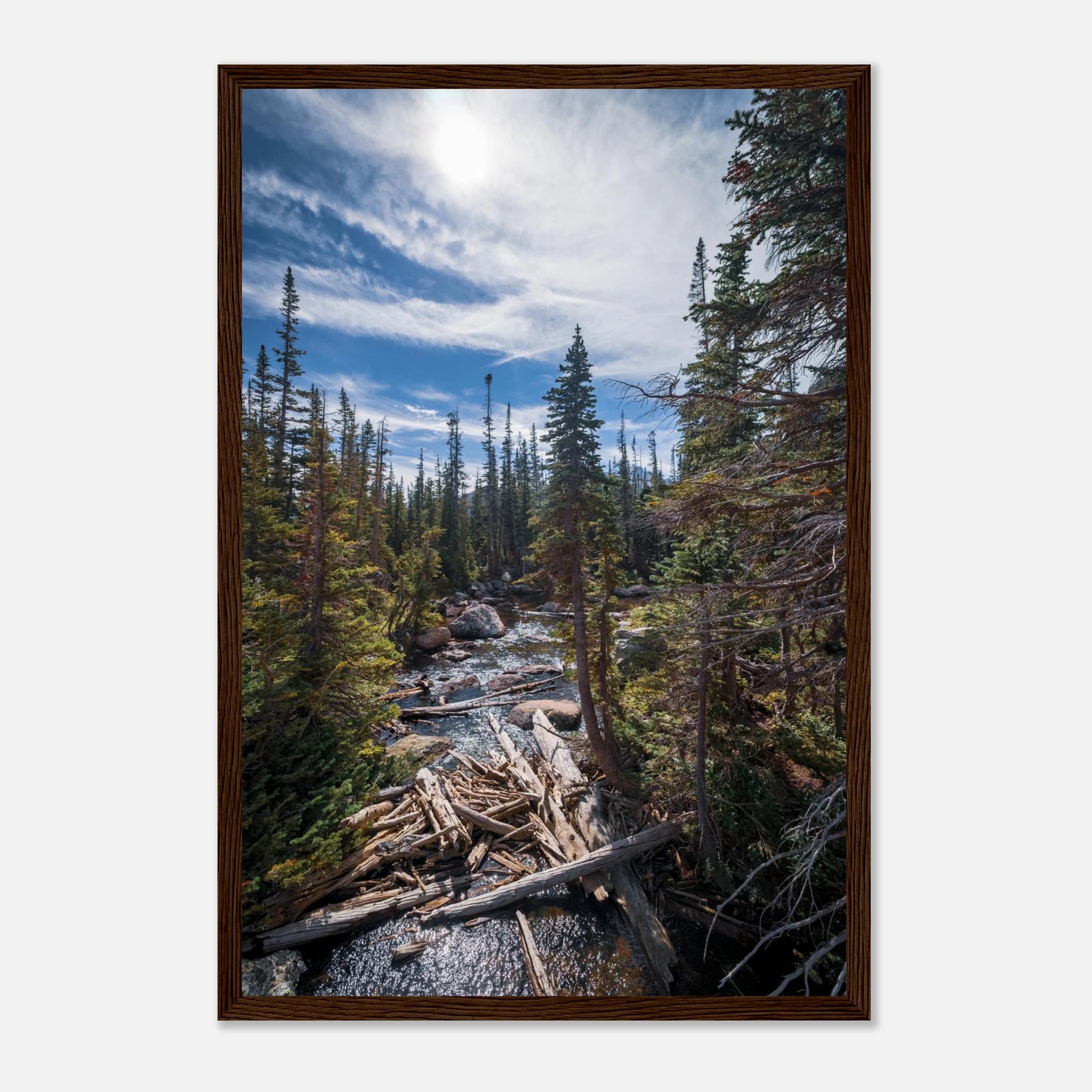 732b7ac7-1e13-4b33-96a8-a58f720a7007