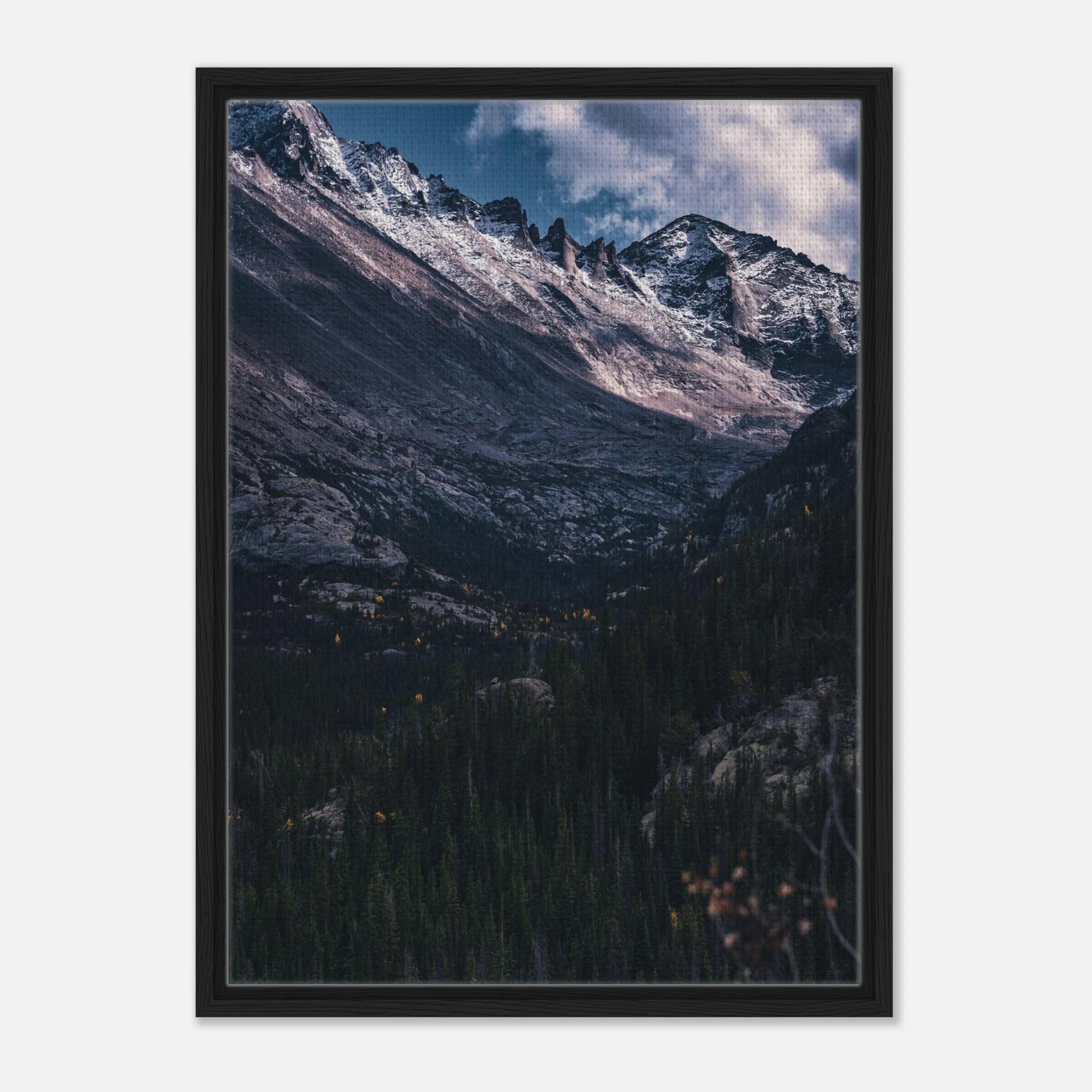 75fe5537-6f1a-4b73-991e-69d2936c49c4