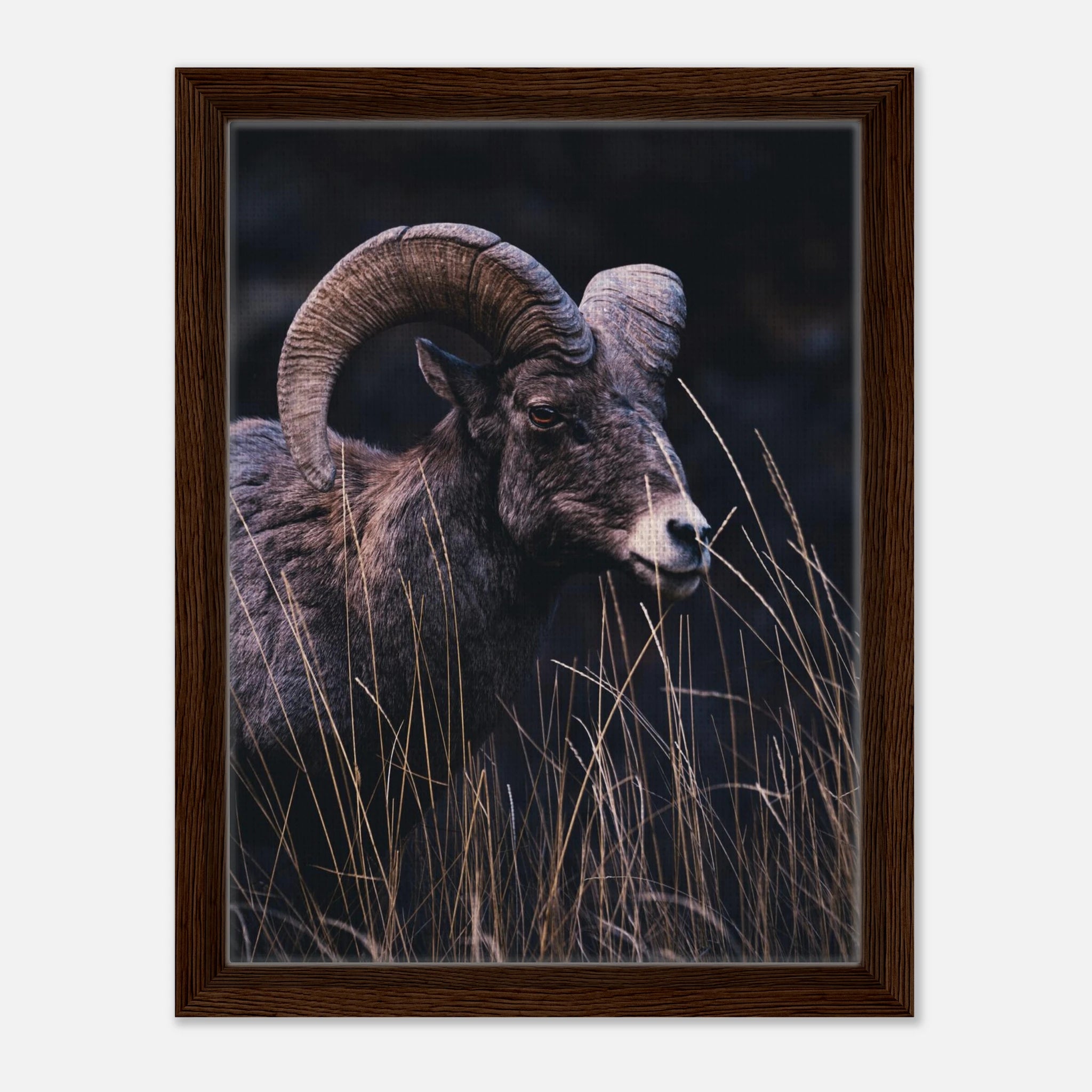 76245863-d6e0-4e07-8838-482d7555ed55