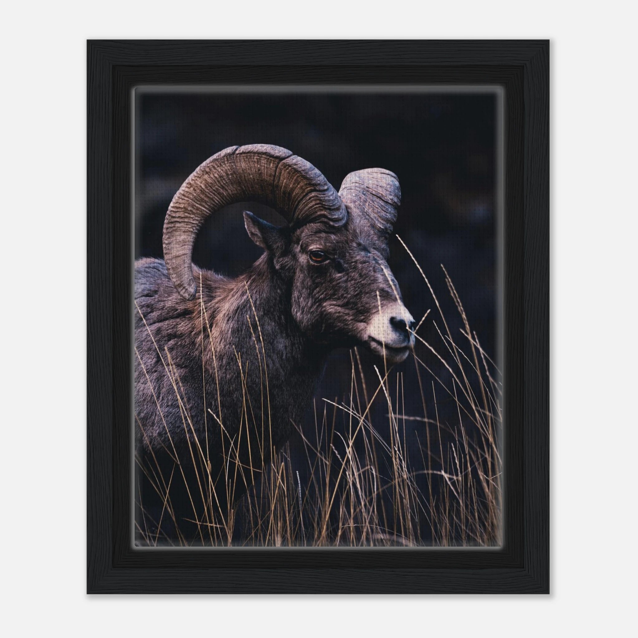 7720d5fd-4dec-490c-8024-29ae411dc6c2