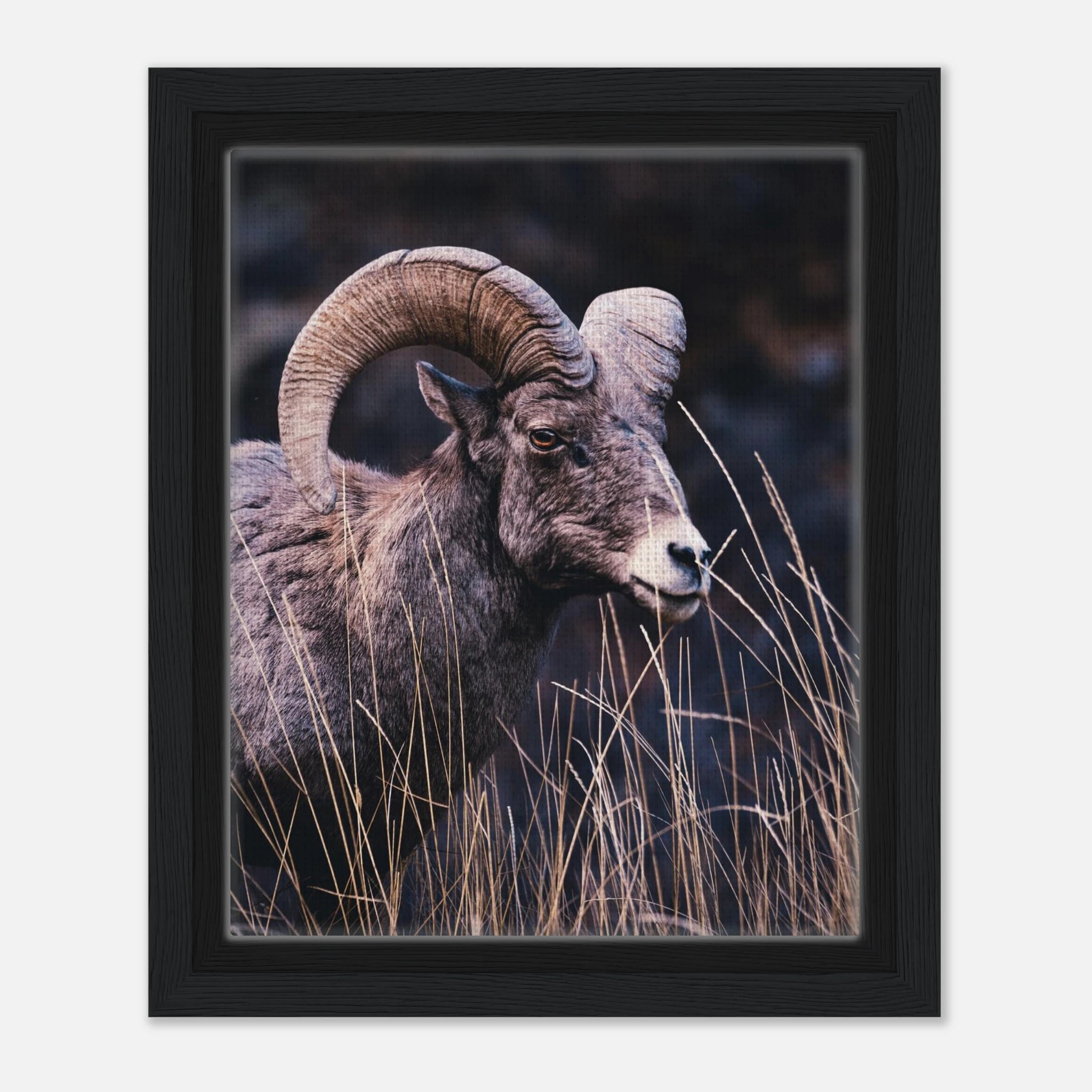 7835177b-f81a-4949-b4a3-d93d253d594d