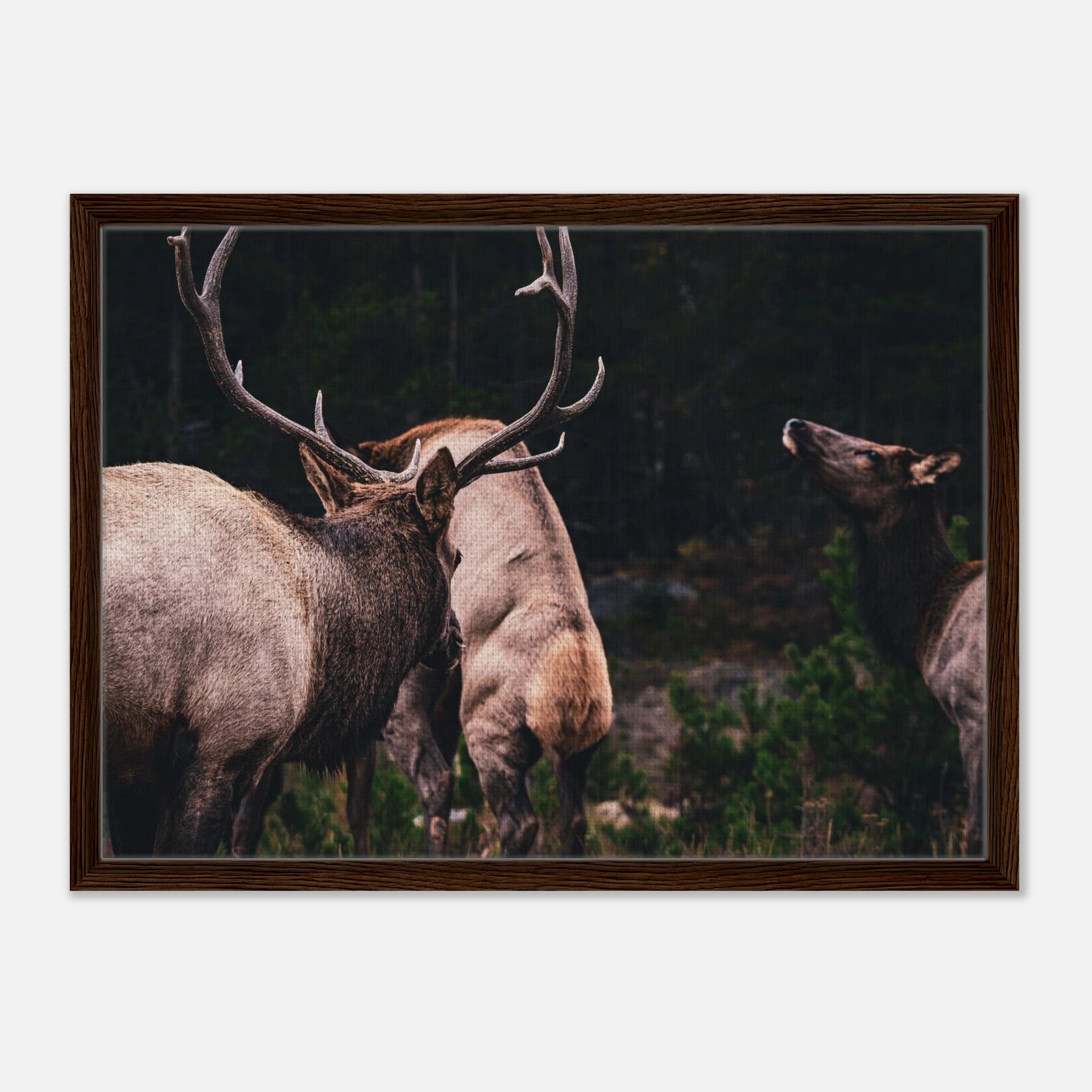 7a8b4947-9384-43a2-a21b-c796d0feaec9