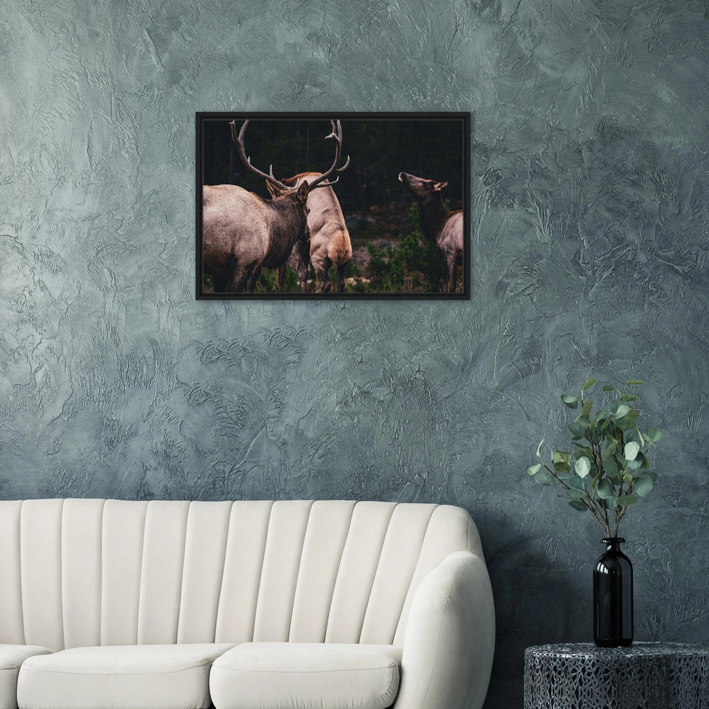 7bbb91ef-db91-40ac-b73b-98151c929157