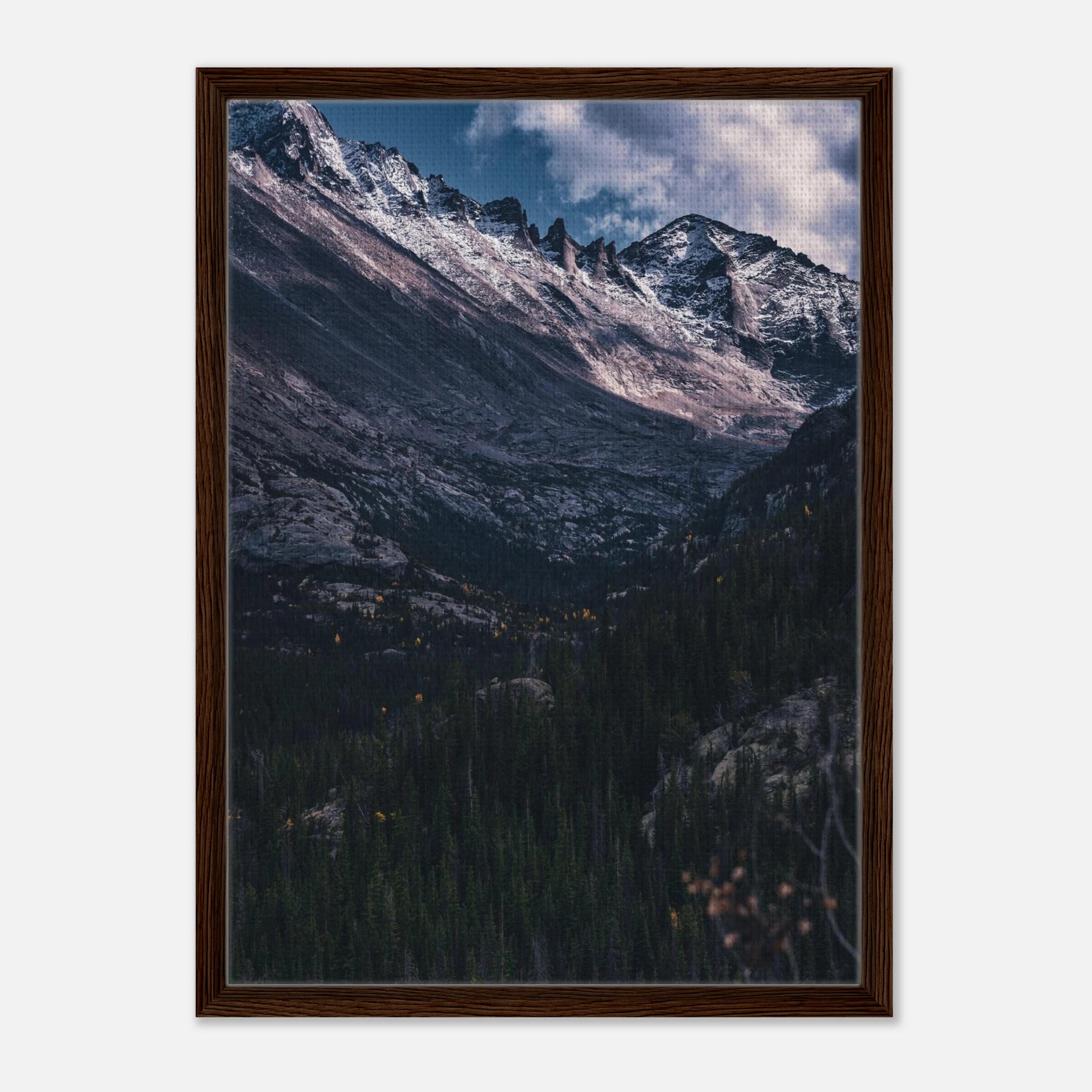 7bf396dc-15c0-4798-856c-6df1f158d34e