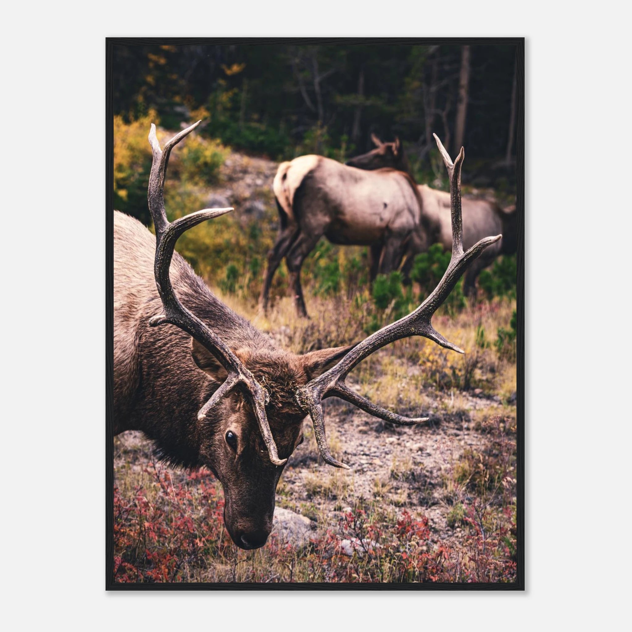 7c972888-b14e-4281-b4d8-c1add5187099