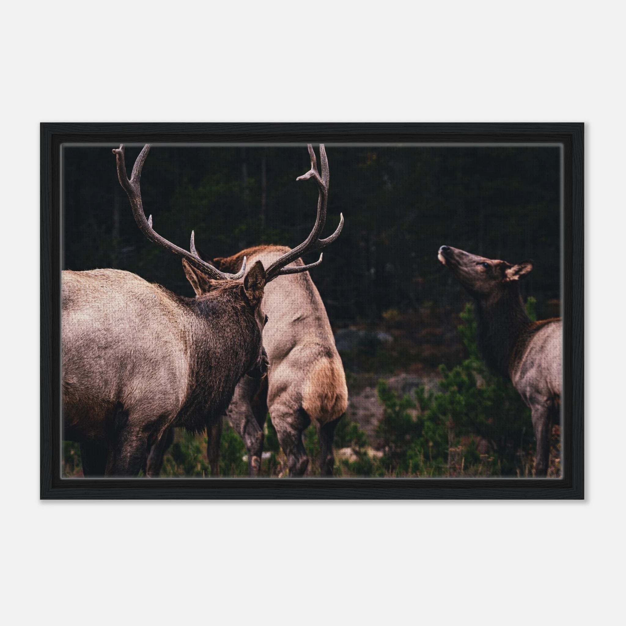 7e44eb2b-3cd7-4634-9d7e-6d101d58dde3