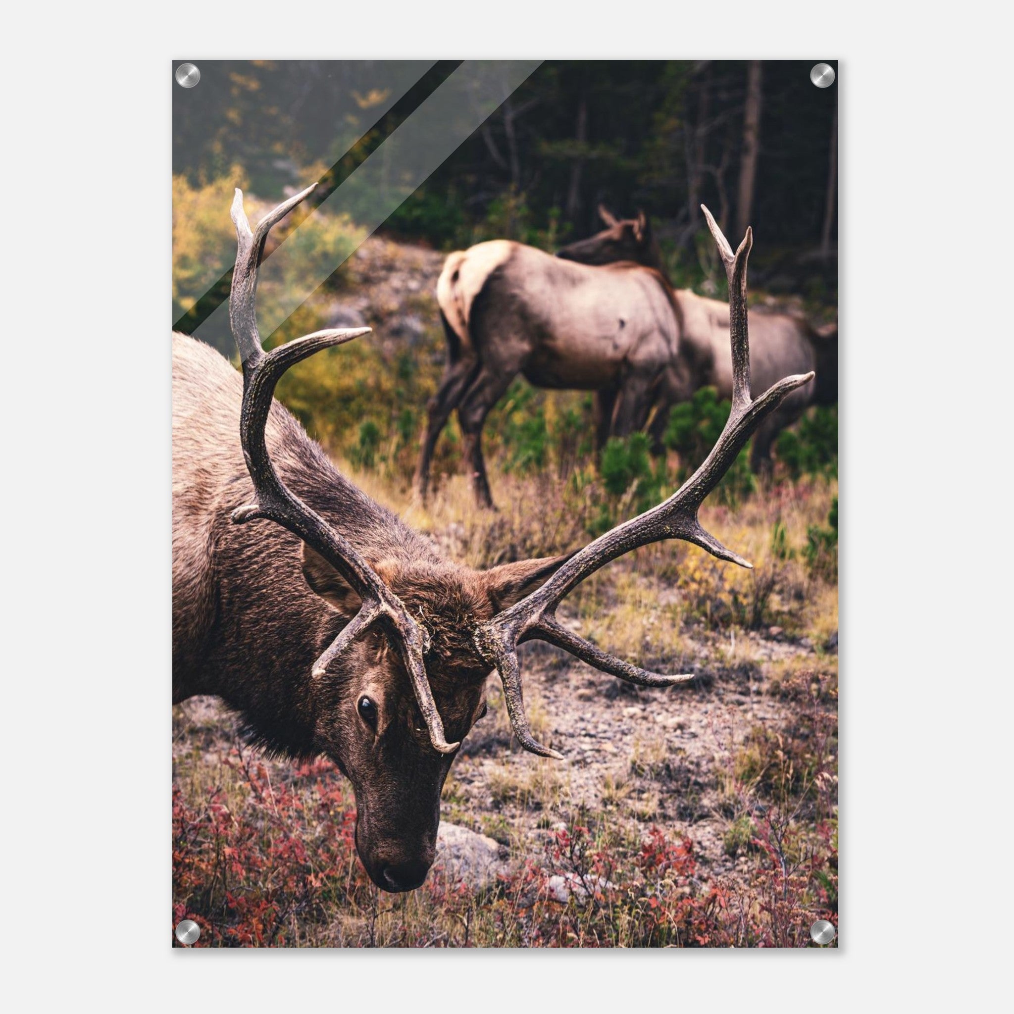 7eed0eb6-c763-498a-861f-b3846b215076