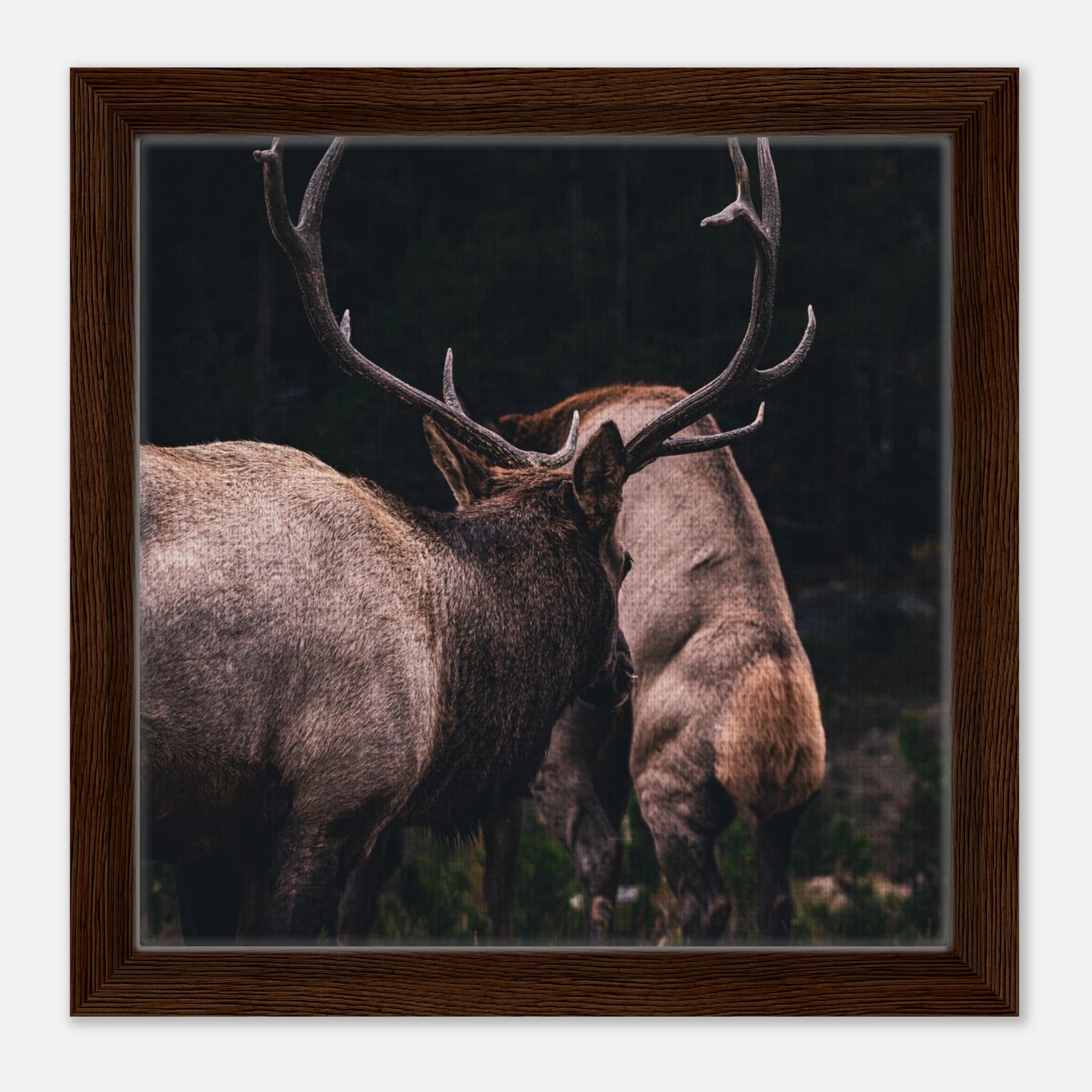 80a42968-ad92-4d4a-b364-86301181afab