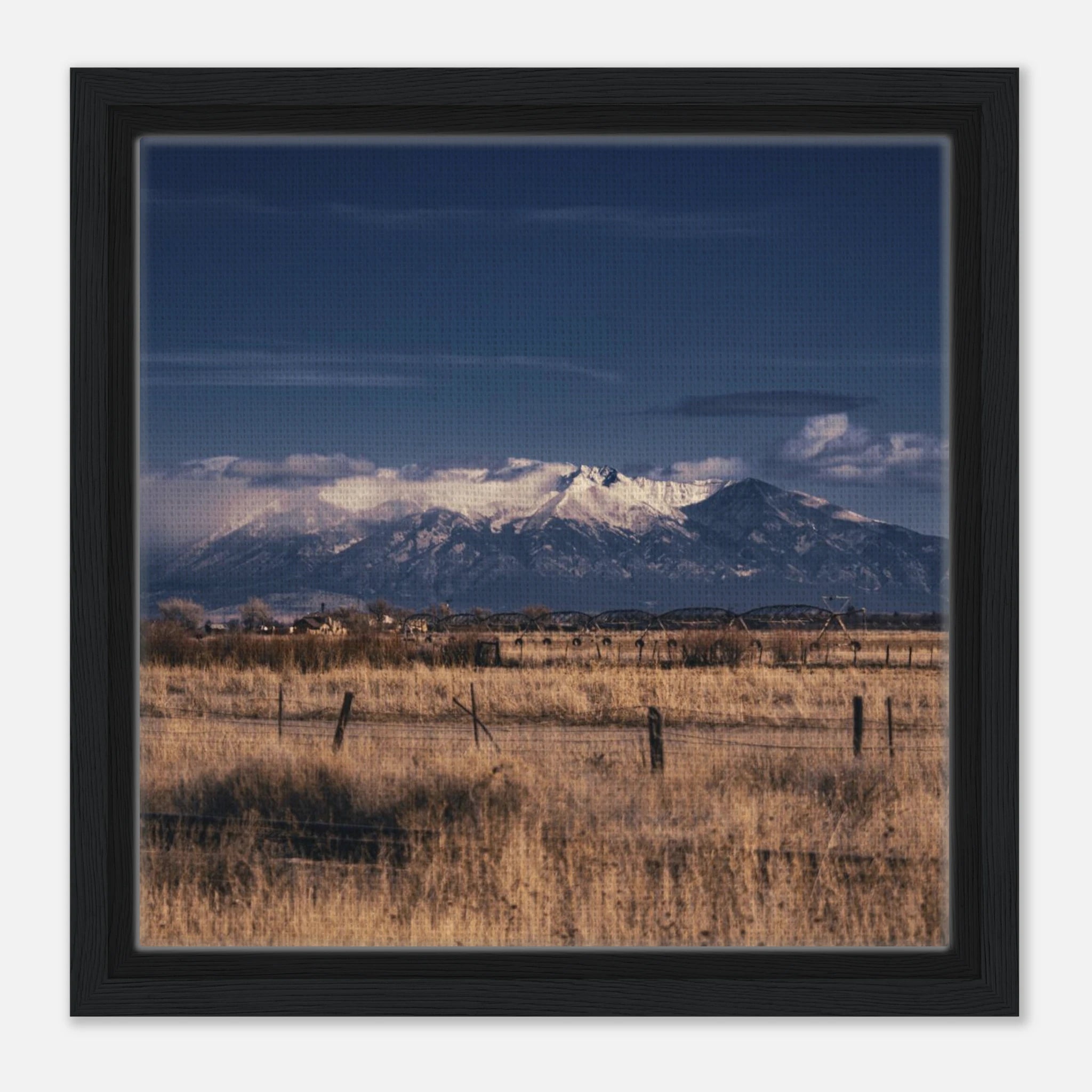 81ff2033-bb6f-466d-a0fe-93247080ec06