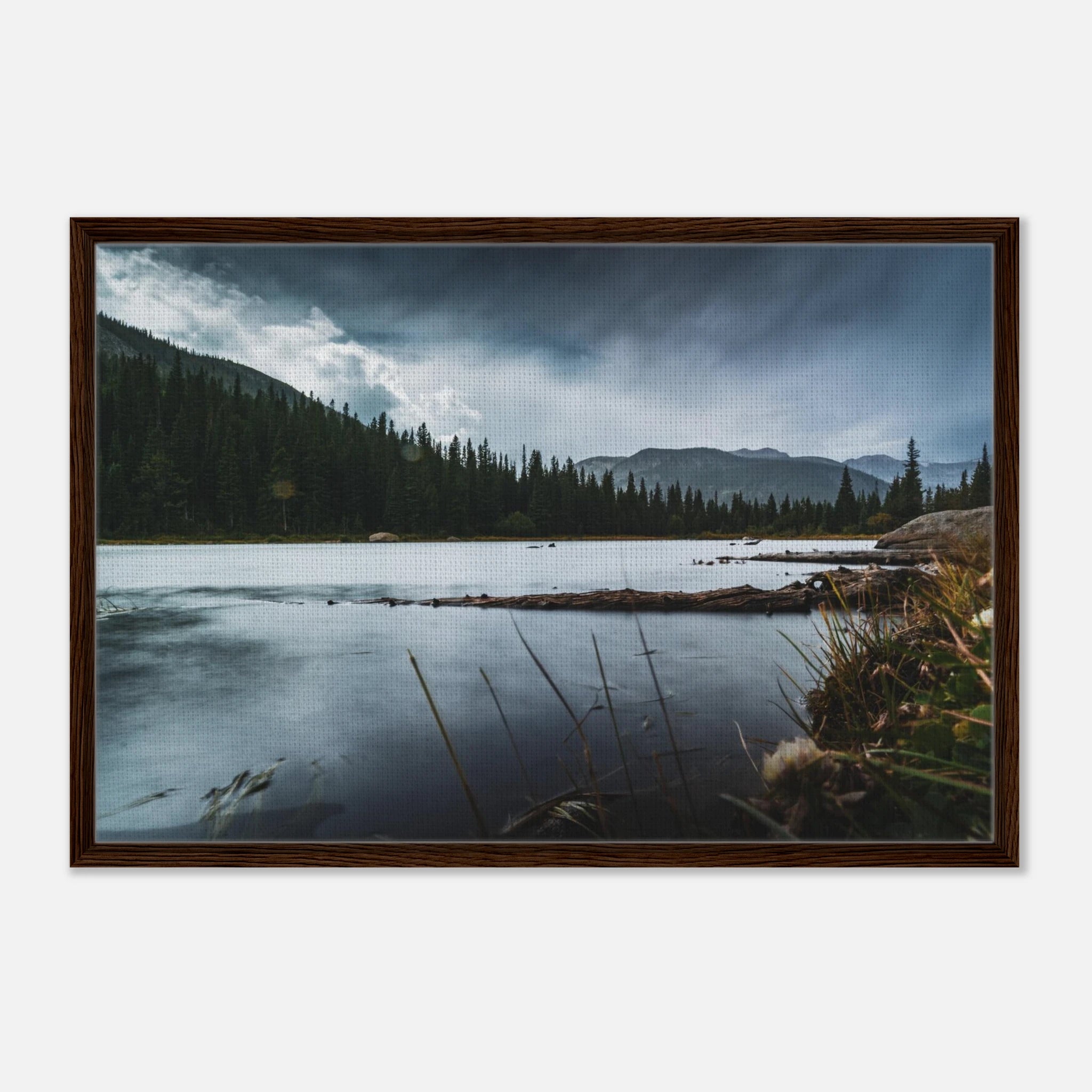 82d2cfd0-a413-4848-915b-599abcd561d4