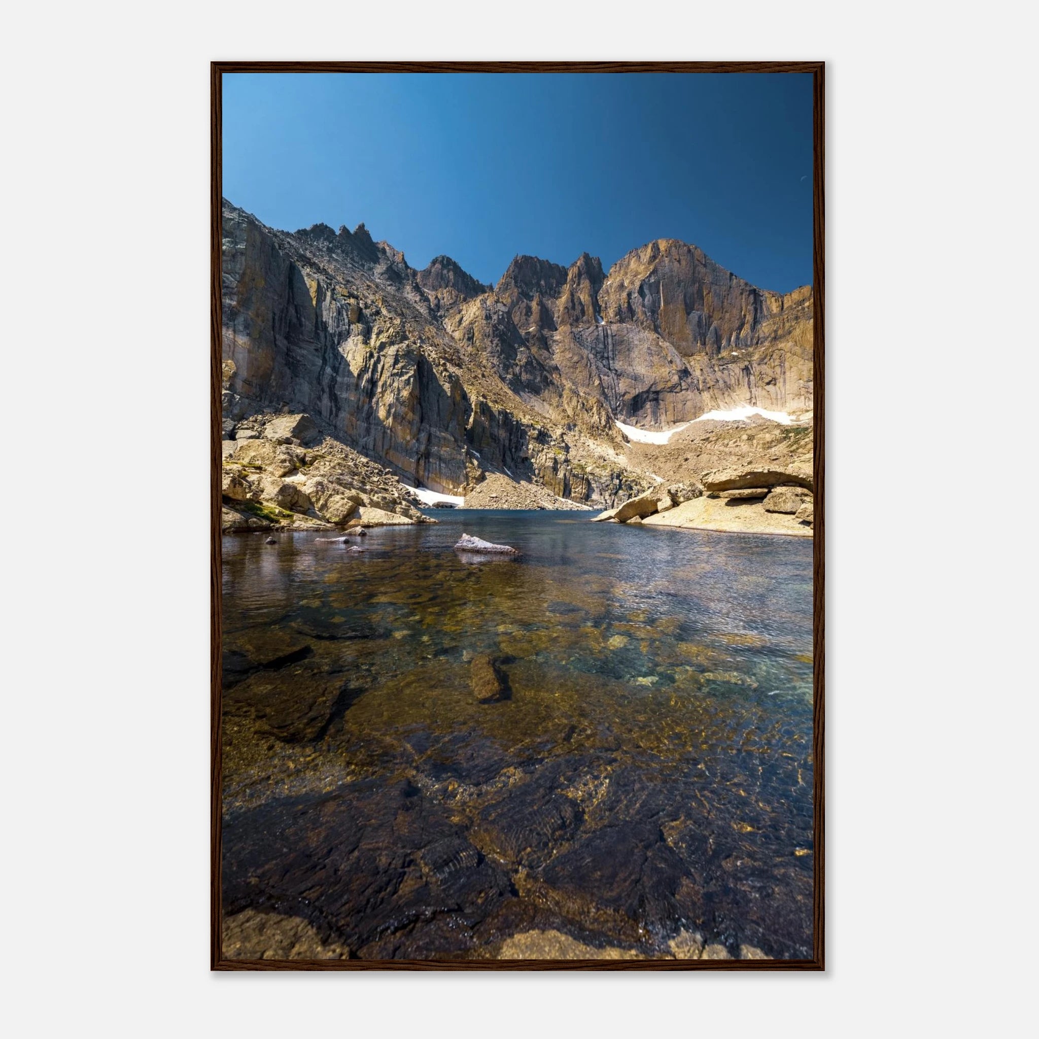 83a7f206-fb99-47e6-a021-6e04ffa65aa1