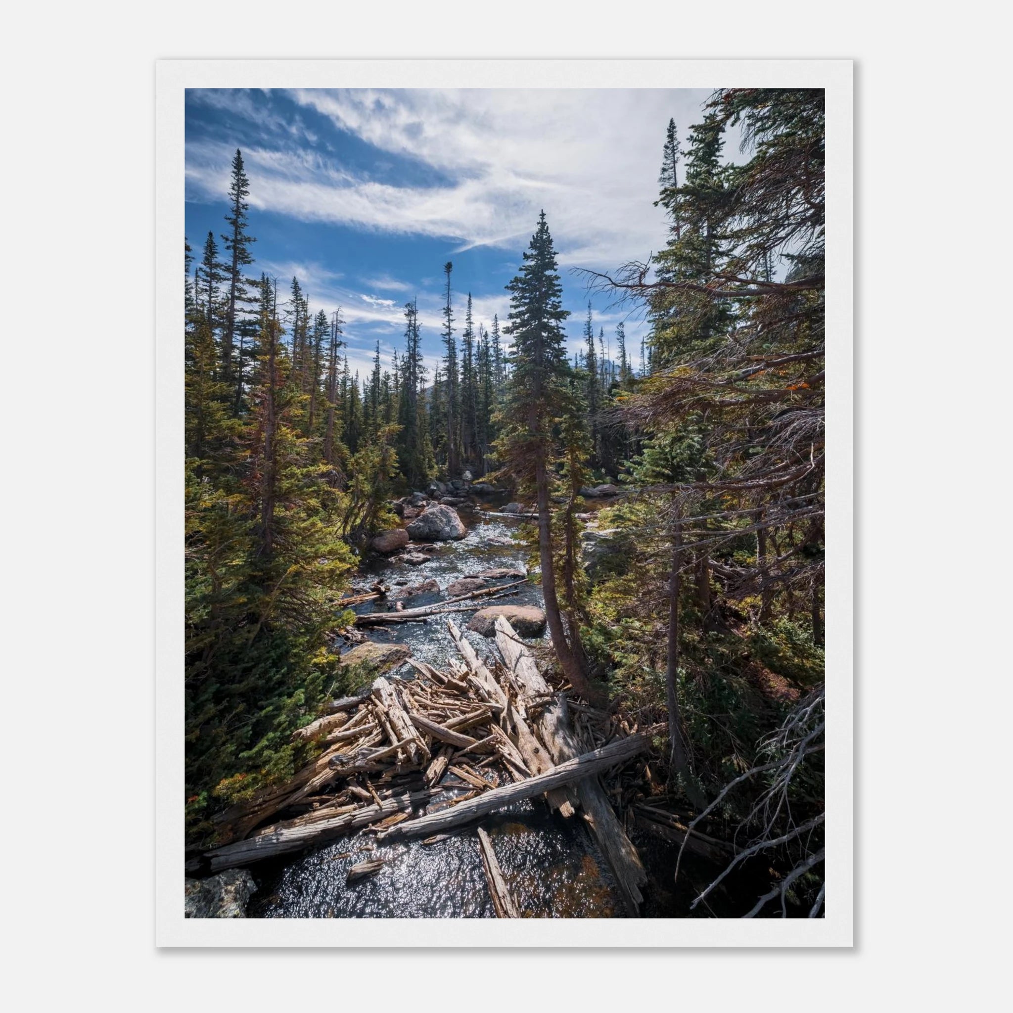 84d4275e-e226-4e3d-93c3-be645fb22159