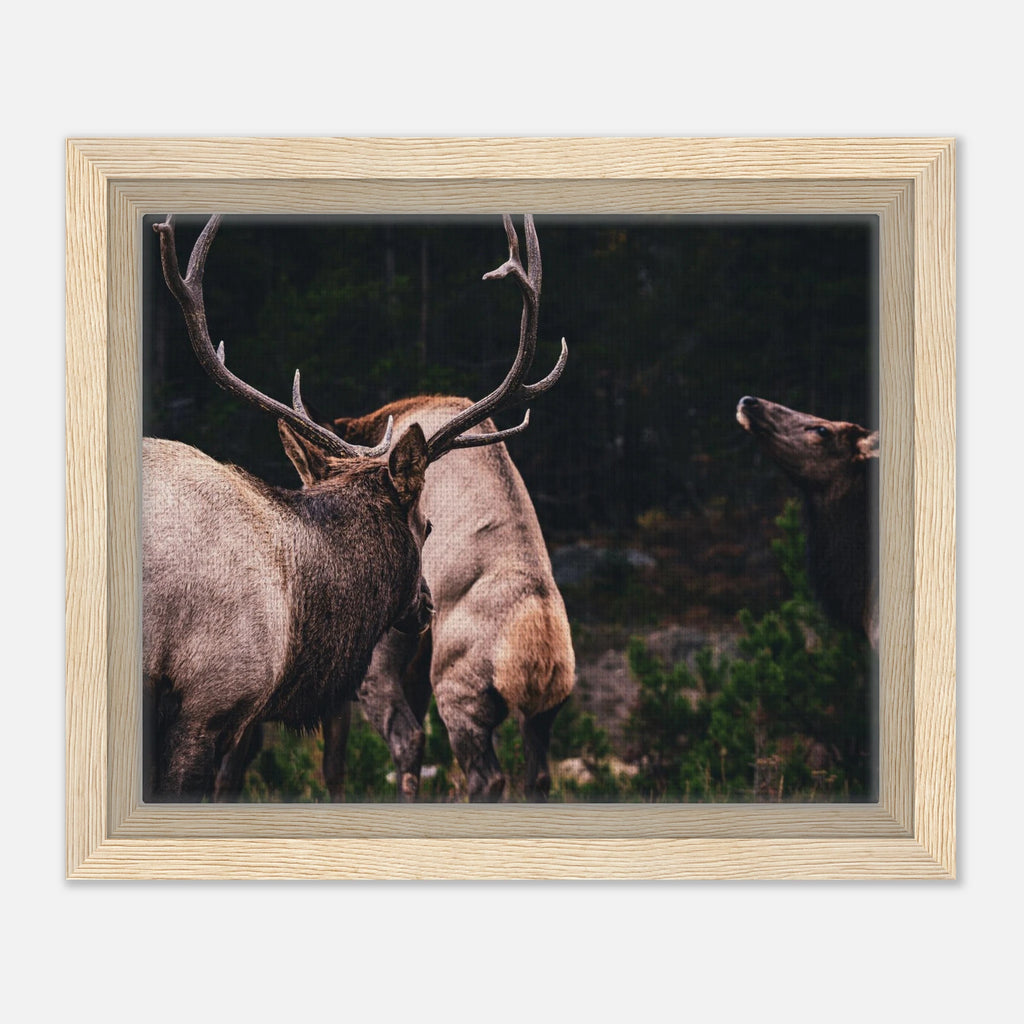 8680f7bf-023f-405c-8581-afd22f1b070a