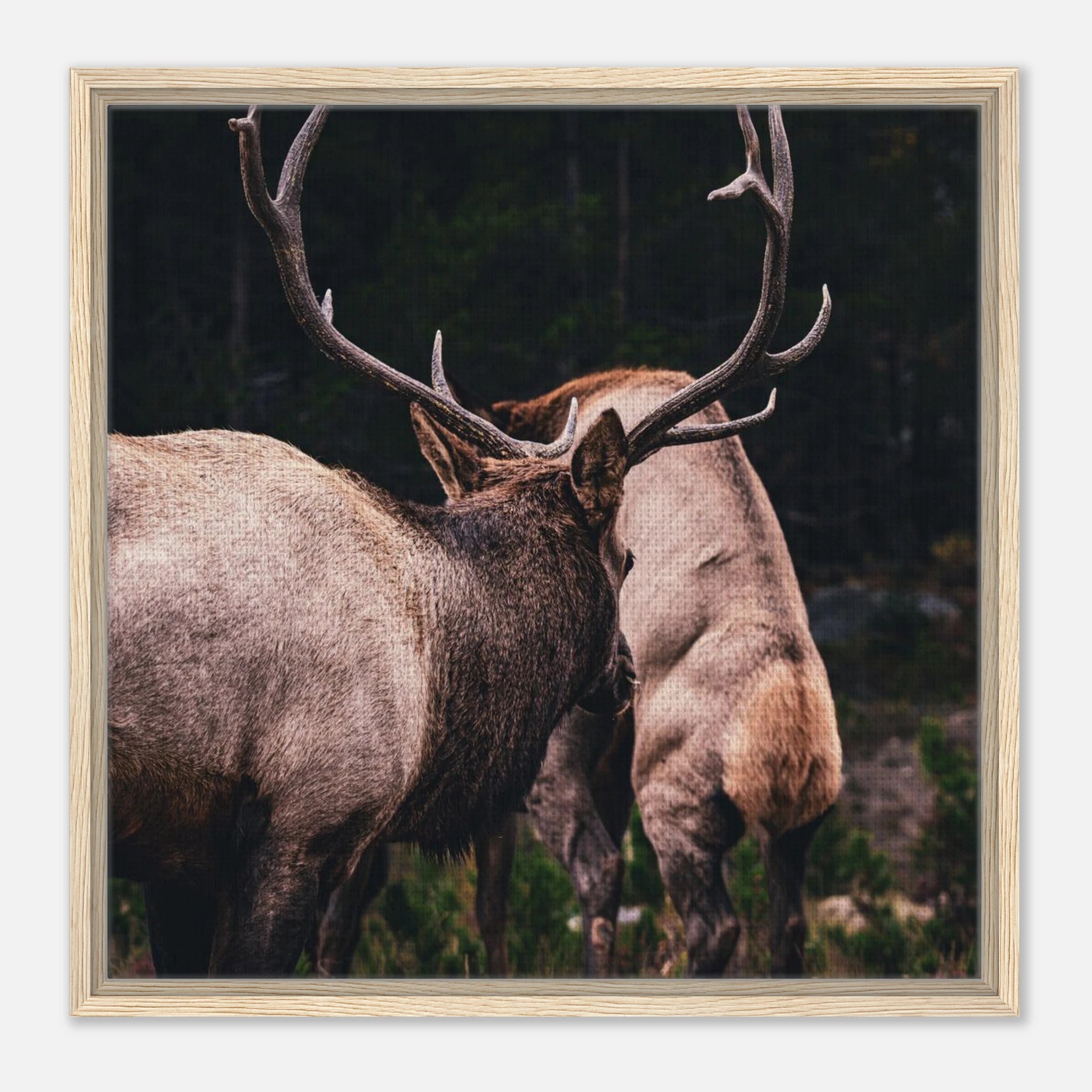 870b37c6-1a2b-4f4a-a23d-02c872348b87