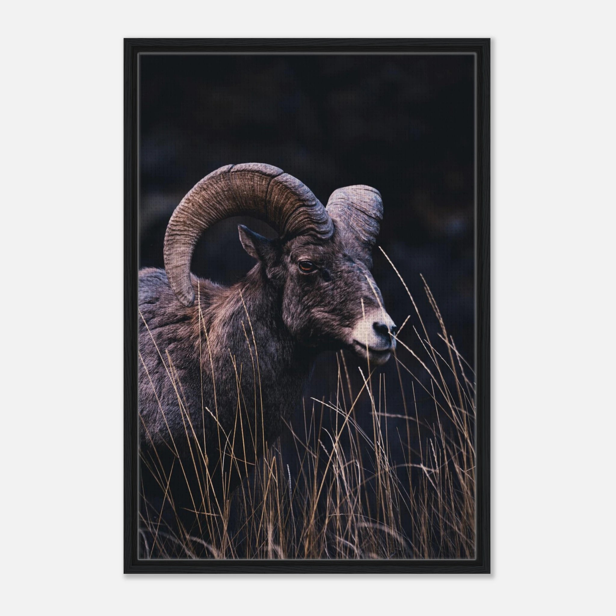 87ddee7e-c9f4-47a0-8bc7-229a921258ce