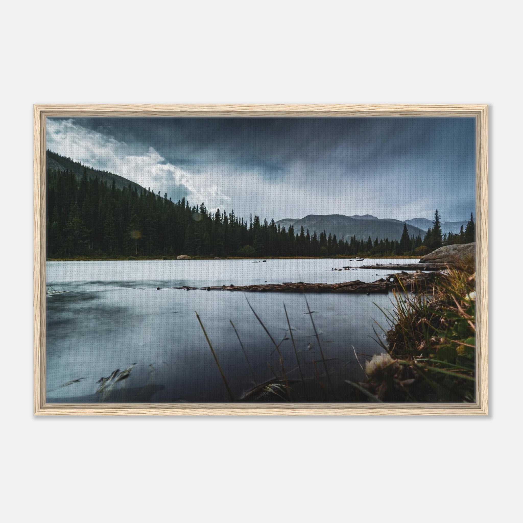 88929a9a-7bbc-4f10-92ec-b62d6aca609b