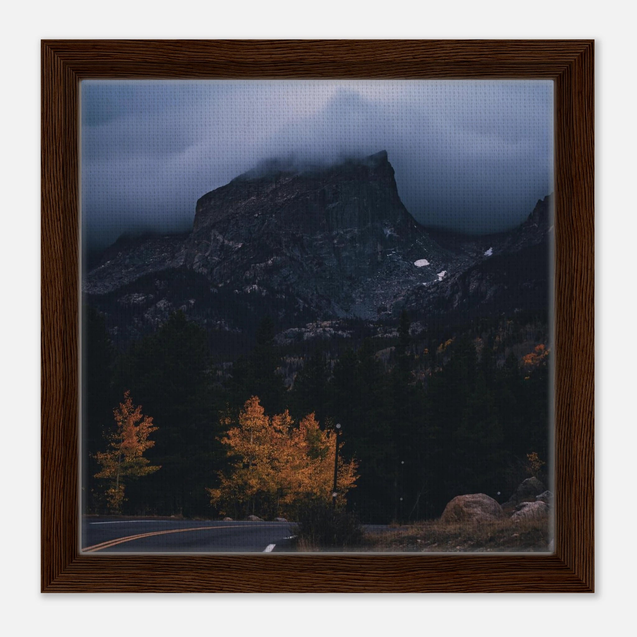 895b193f-552c-4038-9104-5be095f02e2e