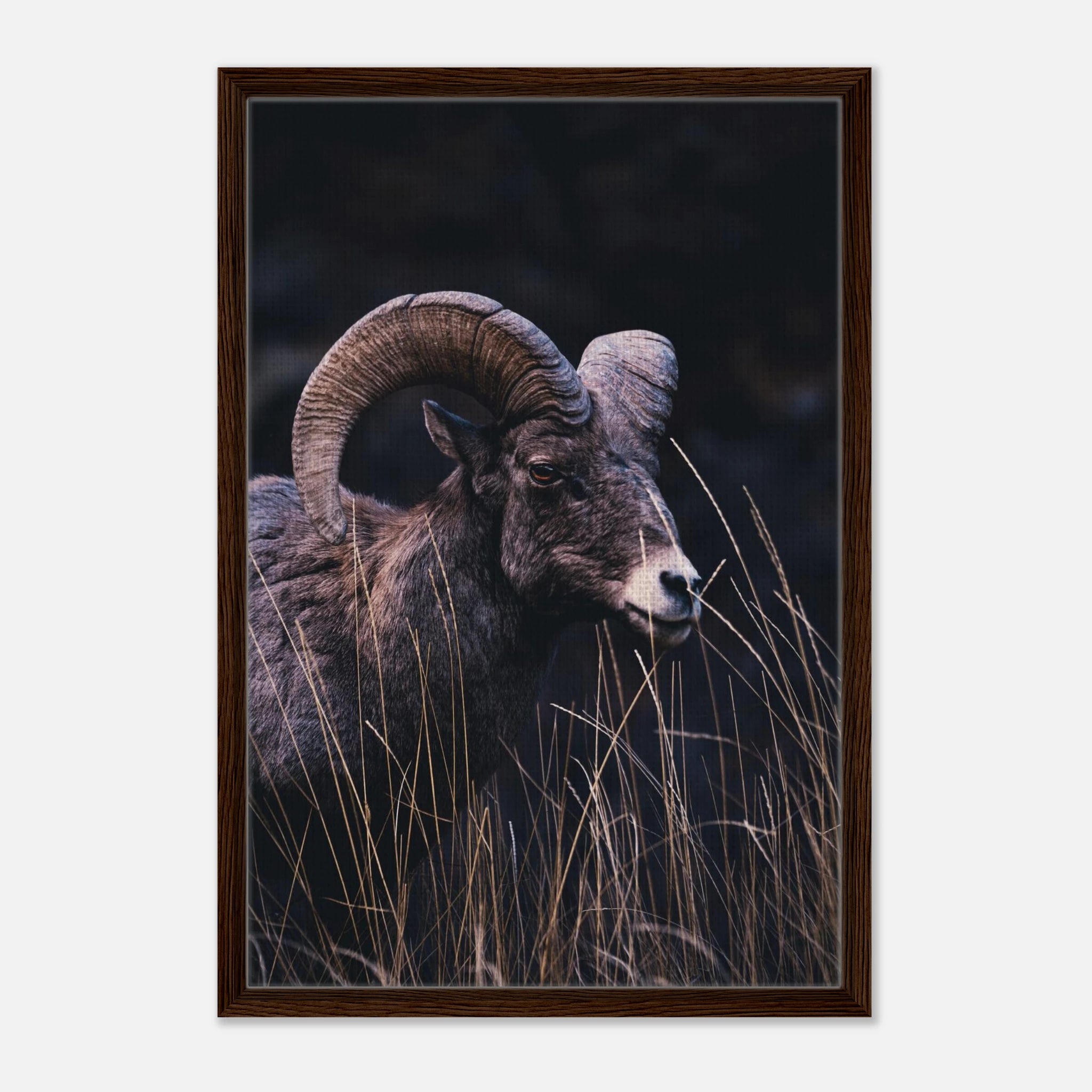 89c6ac67-49ca-46cf-b7d4-6378f5642cb9