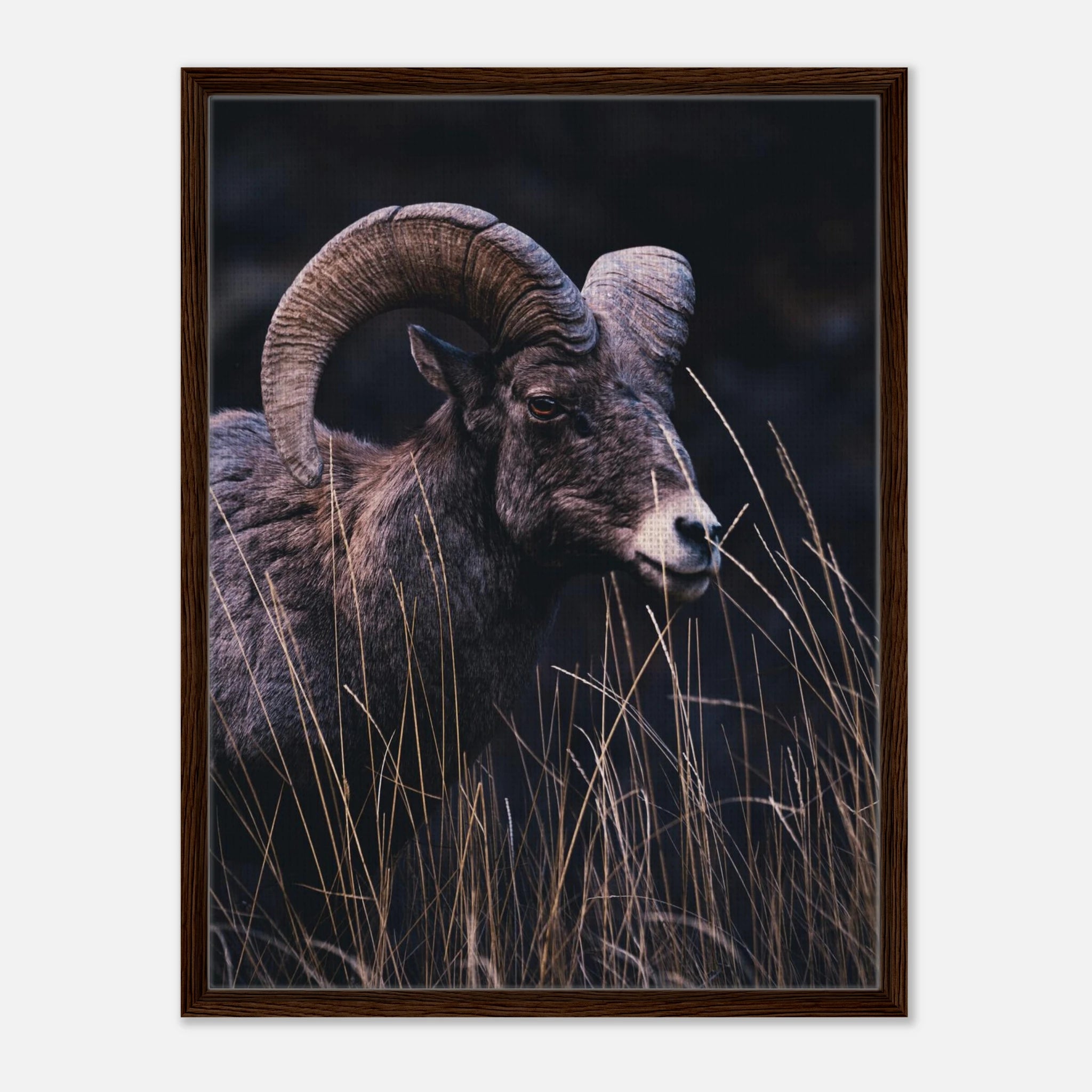 8a56eee4-198a-4a95-b7fb-15fd8fa73e4a