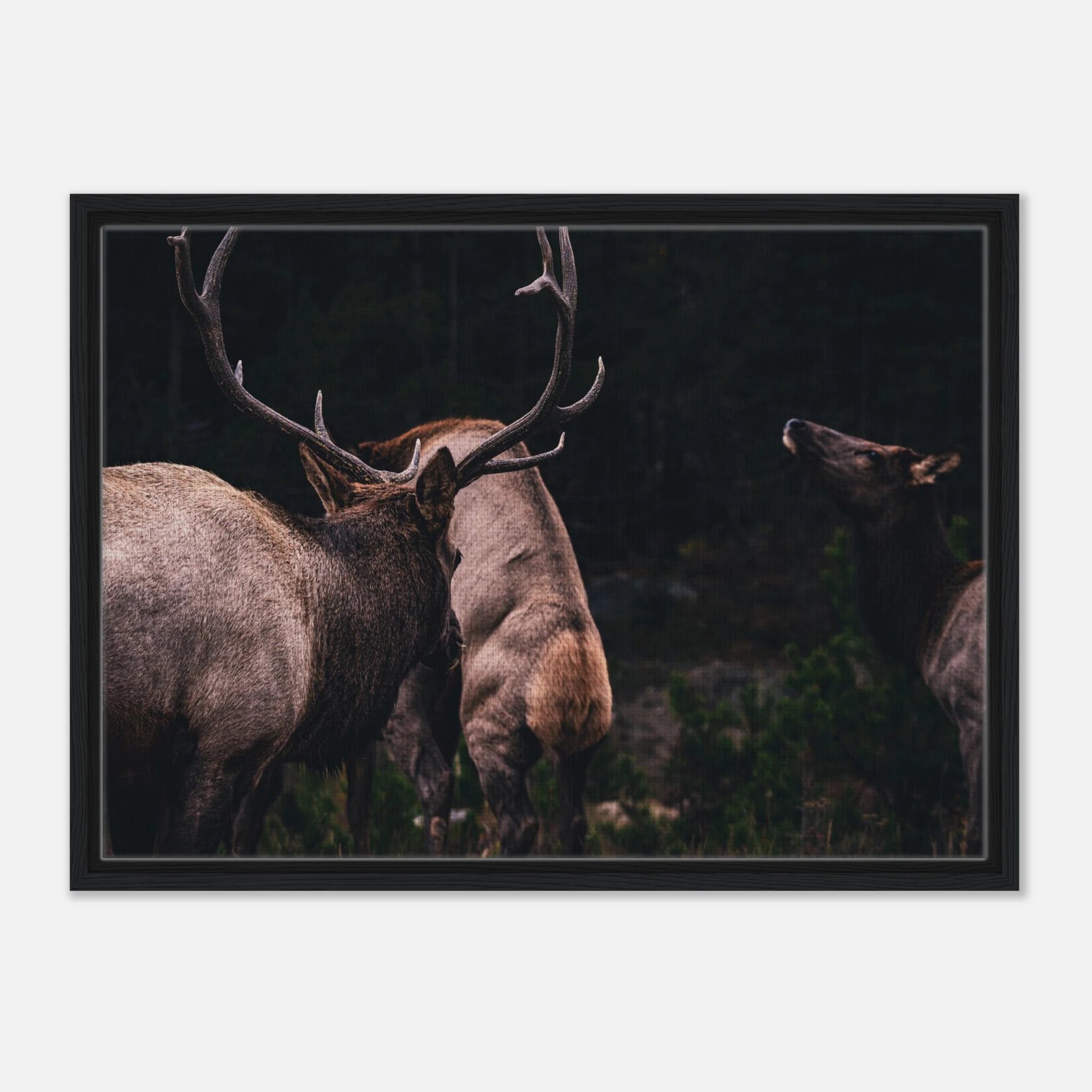 8b2d3ea9-49c0-4ff6-8e45-fa94edb0e9fa