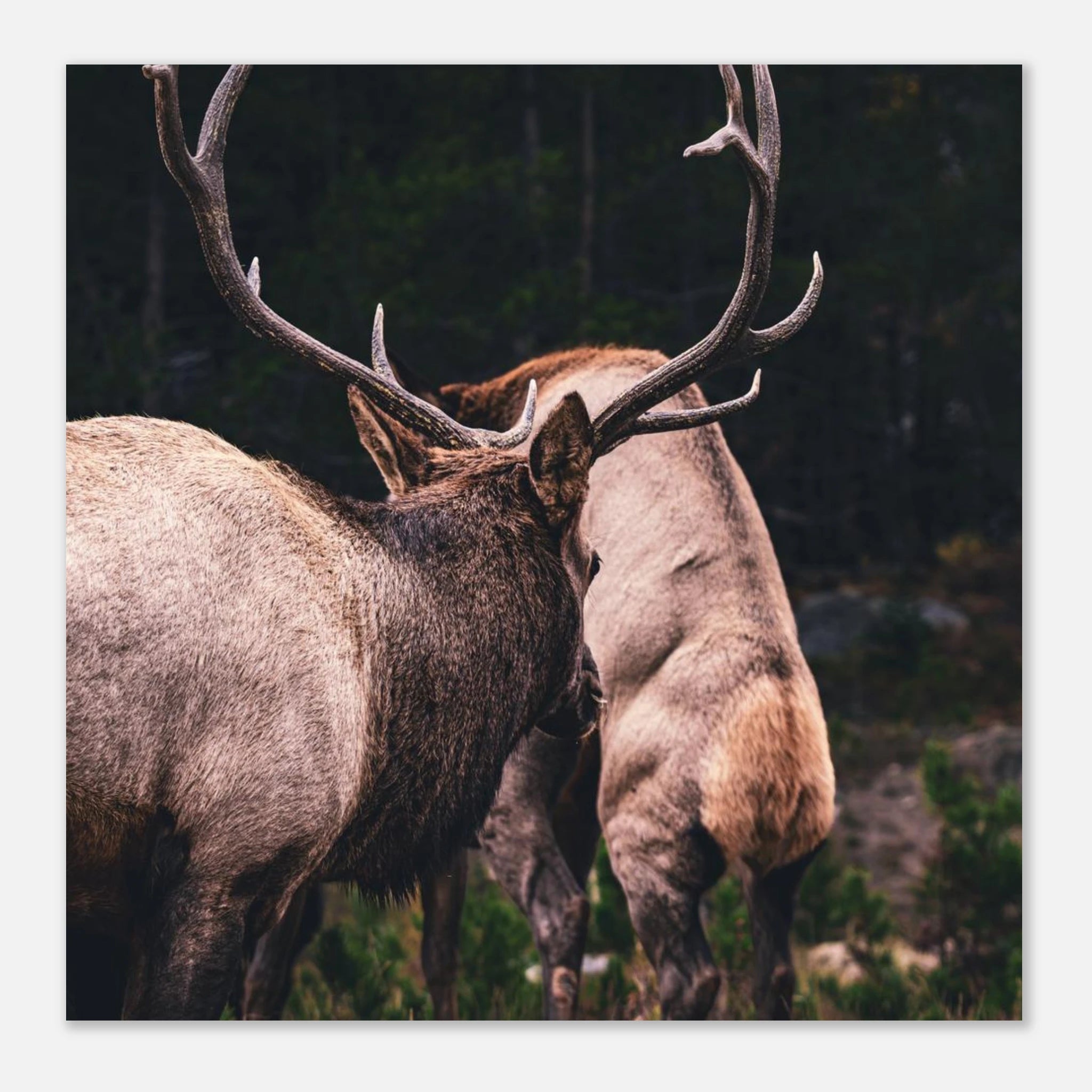 8cd162e4-1c3c-4ed4-9356-69cb2d3a7c83