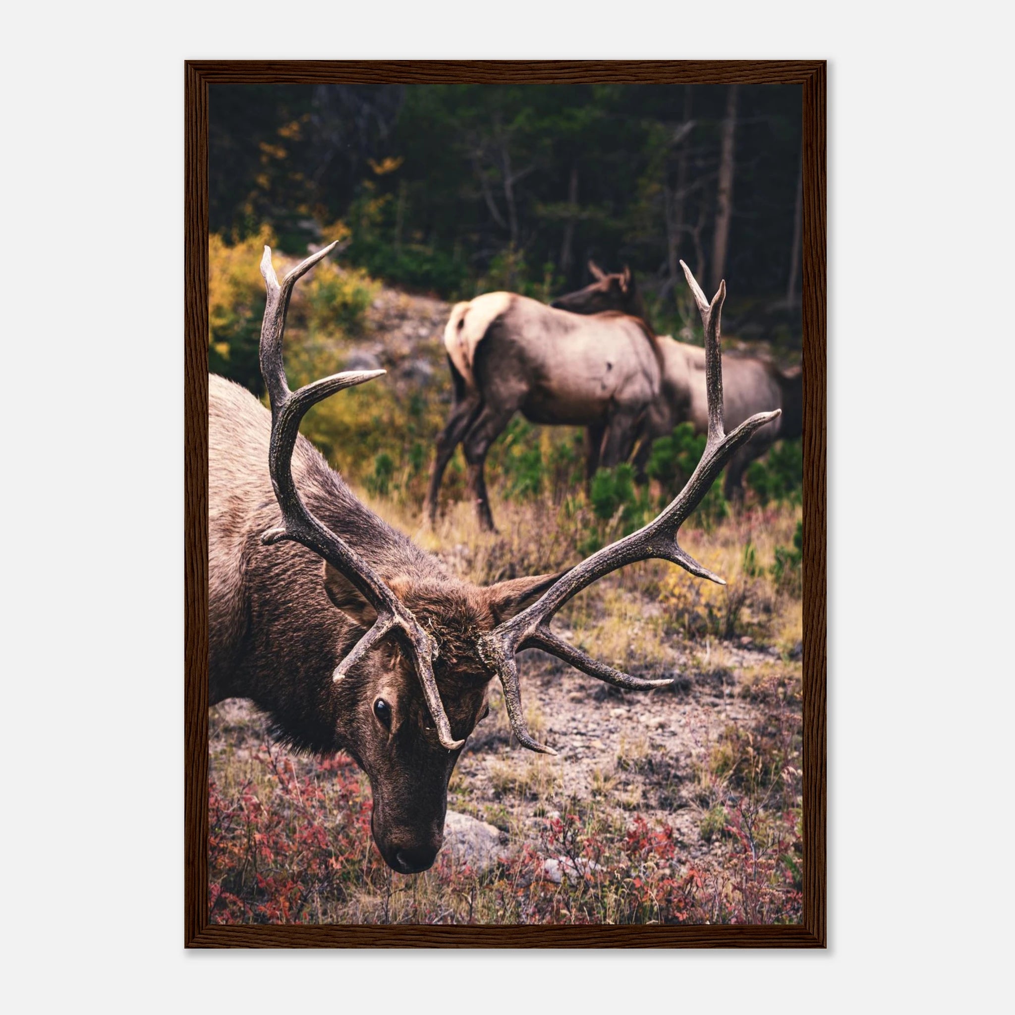 8cf3098d-cd3f-4c2c-a067-5b5a58a85fff