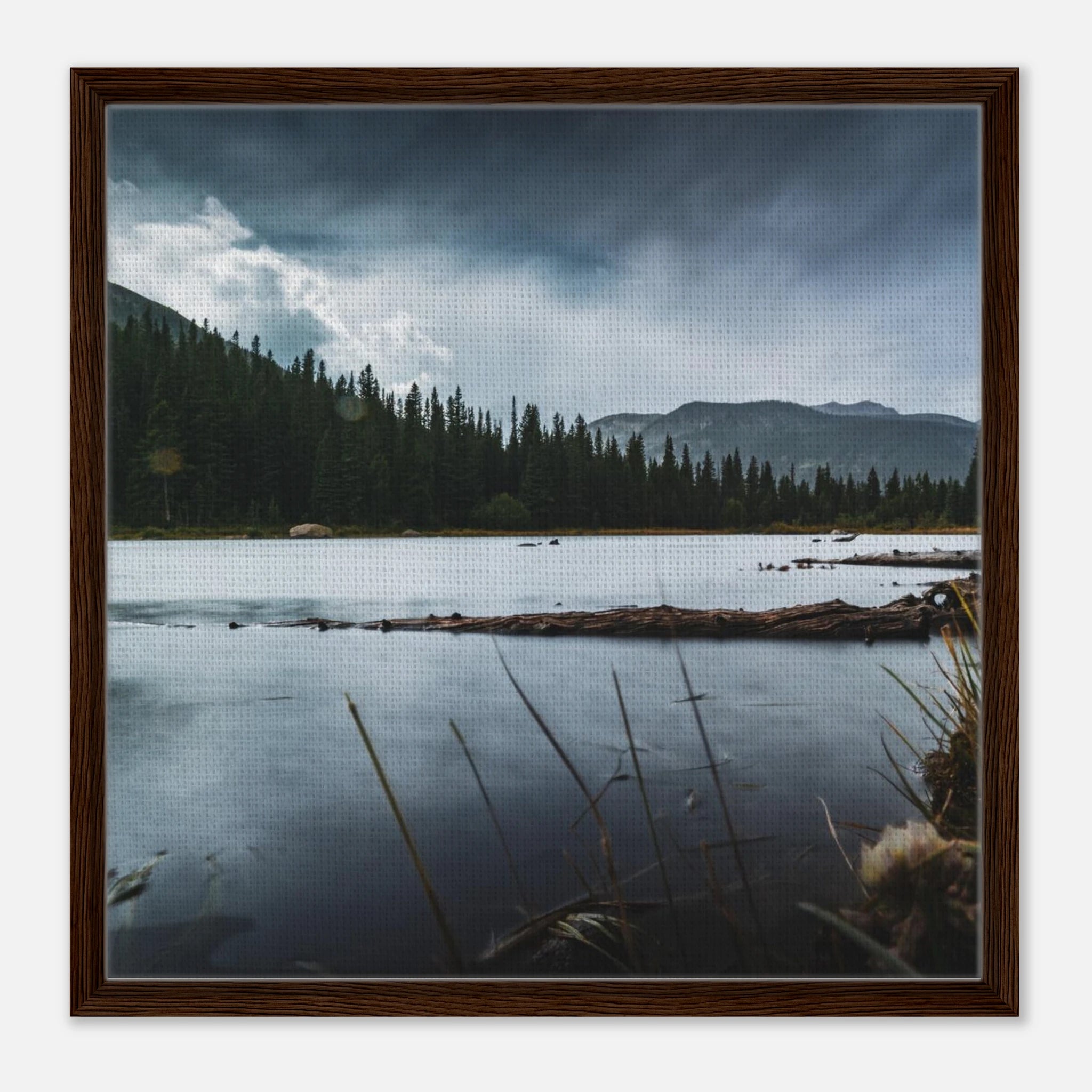 8d7089d2-88e6-4666-a74a-d0ef4566612d