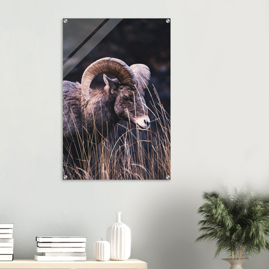 8dc881b4-abf6-4754-8cd6-e75daaf89bf1