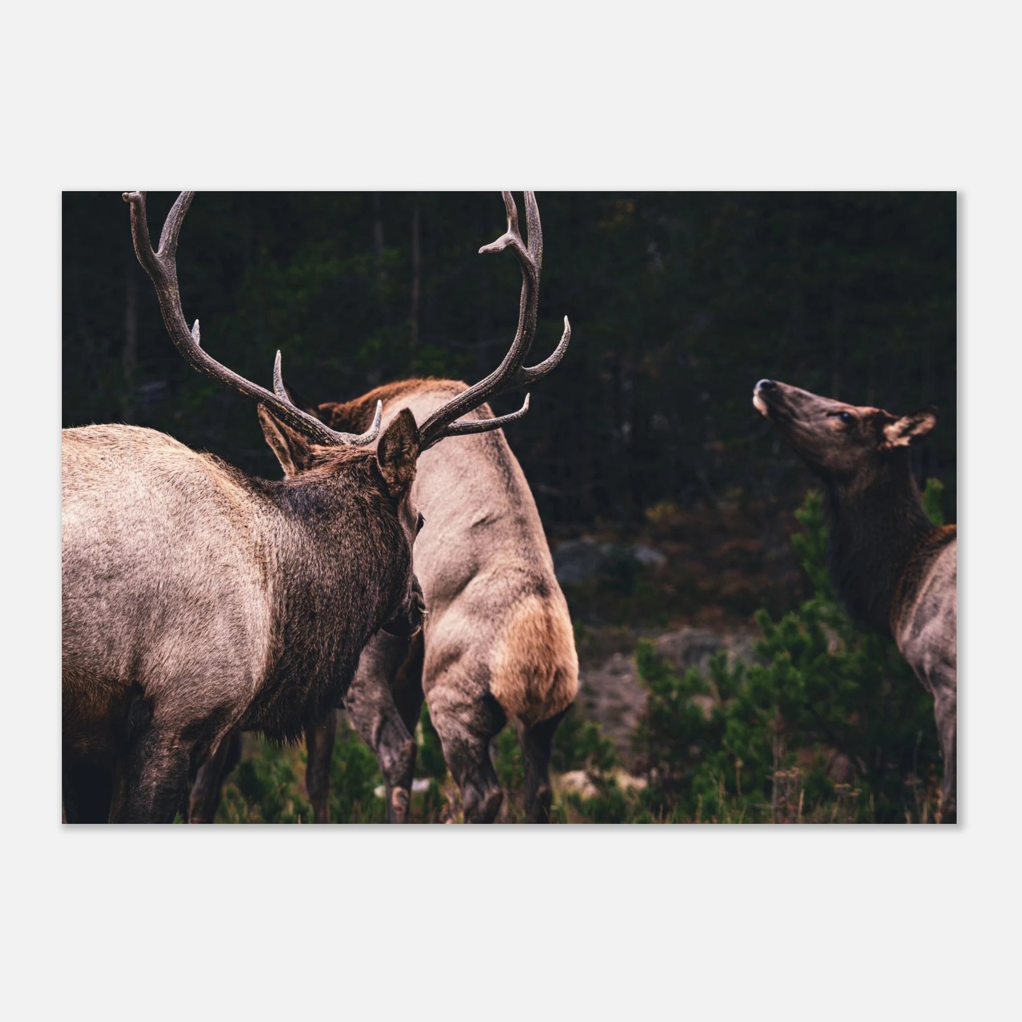 8e2b87f1-bd95-4756-9698-1e88932b698e