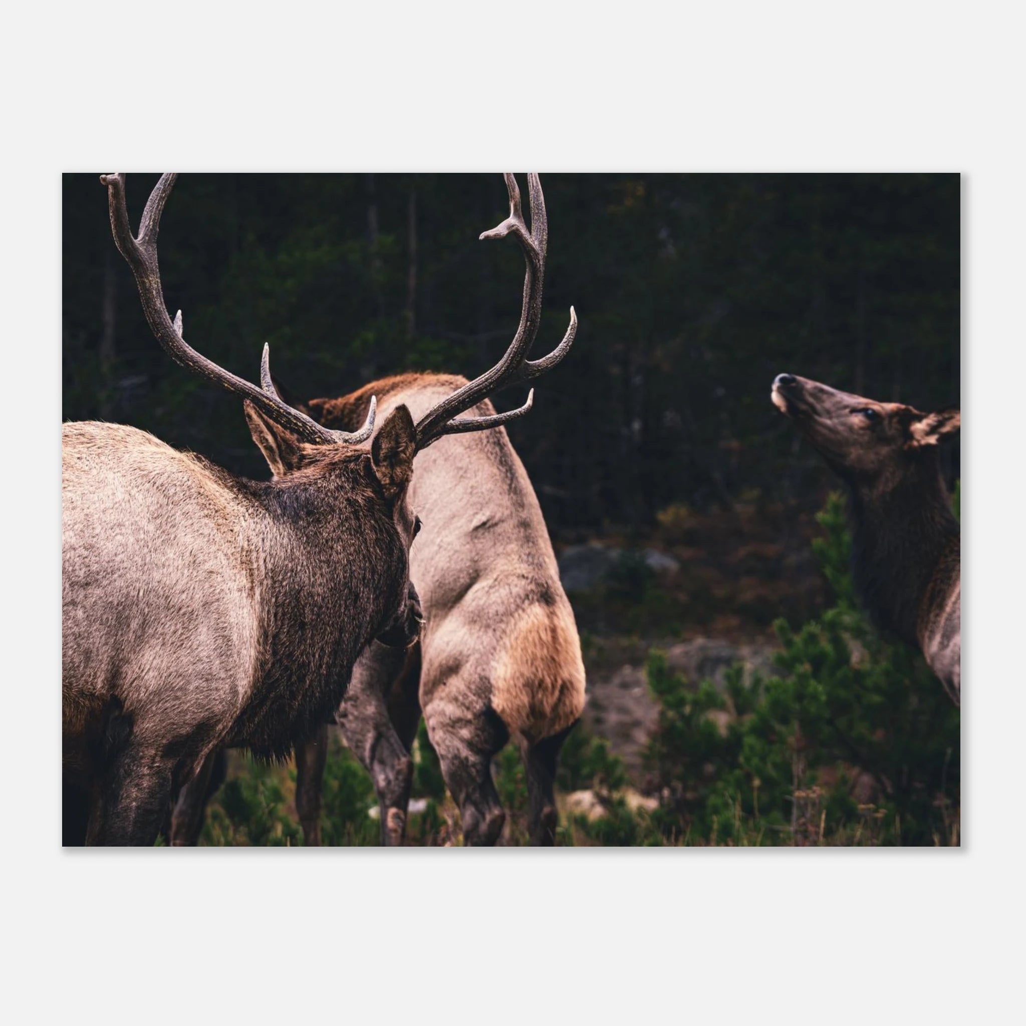 8e76fdd5-3b1b-45dd-b244-9d5906b745fc