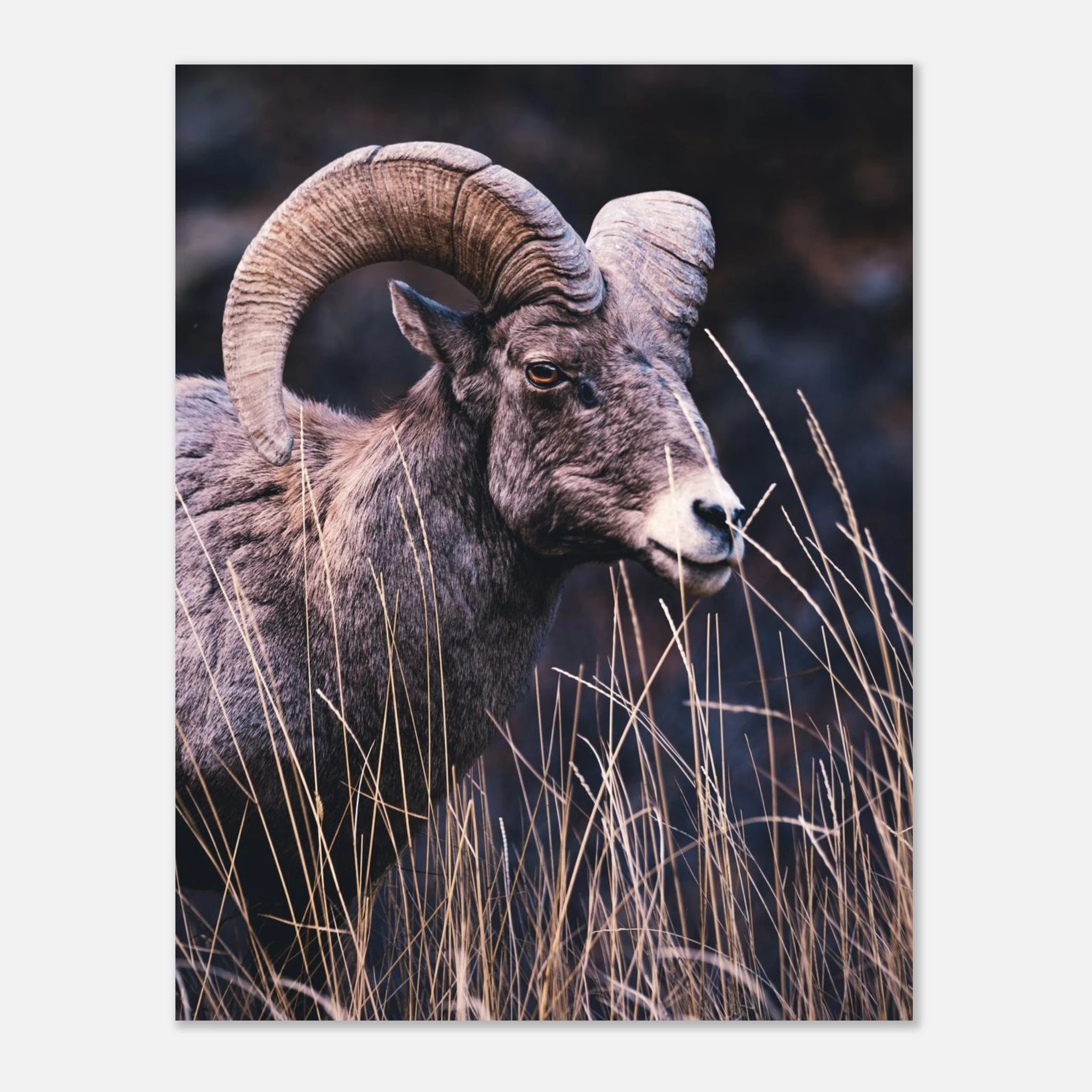 8e8f0488-3c4d-4742-95cb-ee127bd5aee4