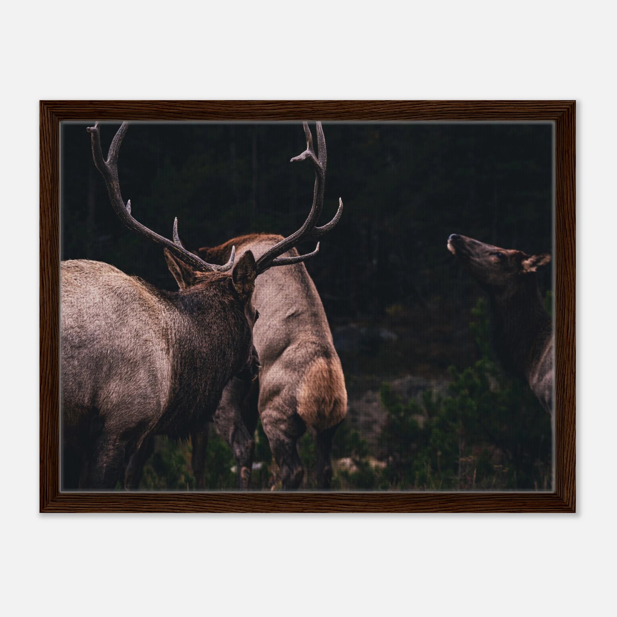 8f97c772-c8ce-47ad-8275-ad3783183ad1