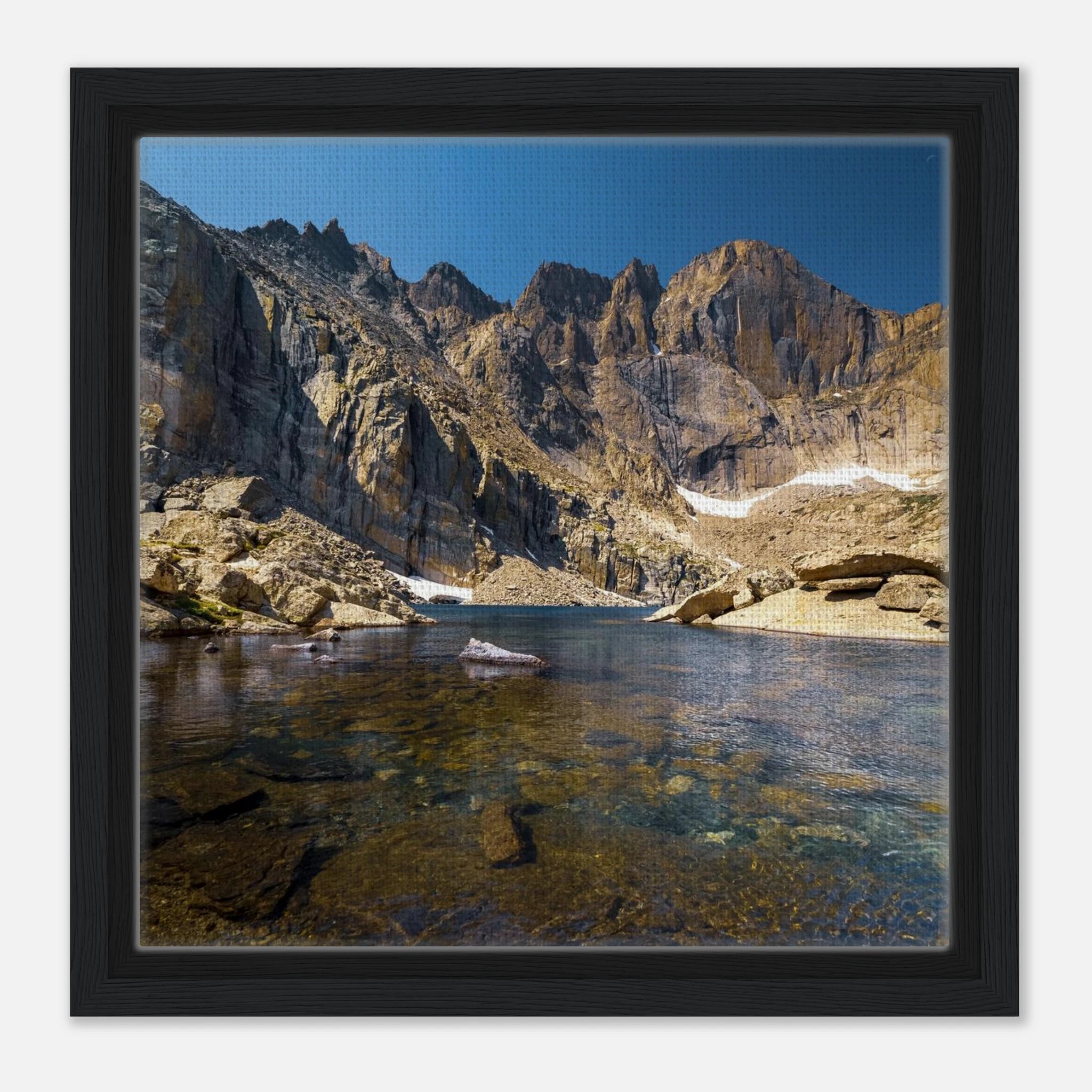 9015028f-d232-48b6-960b-0fcaf7c00974