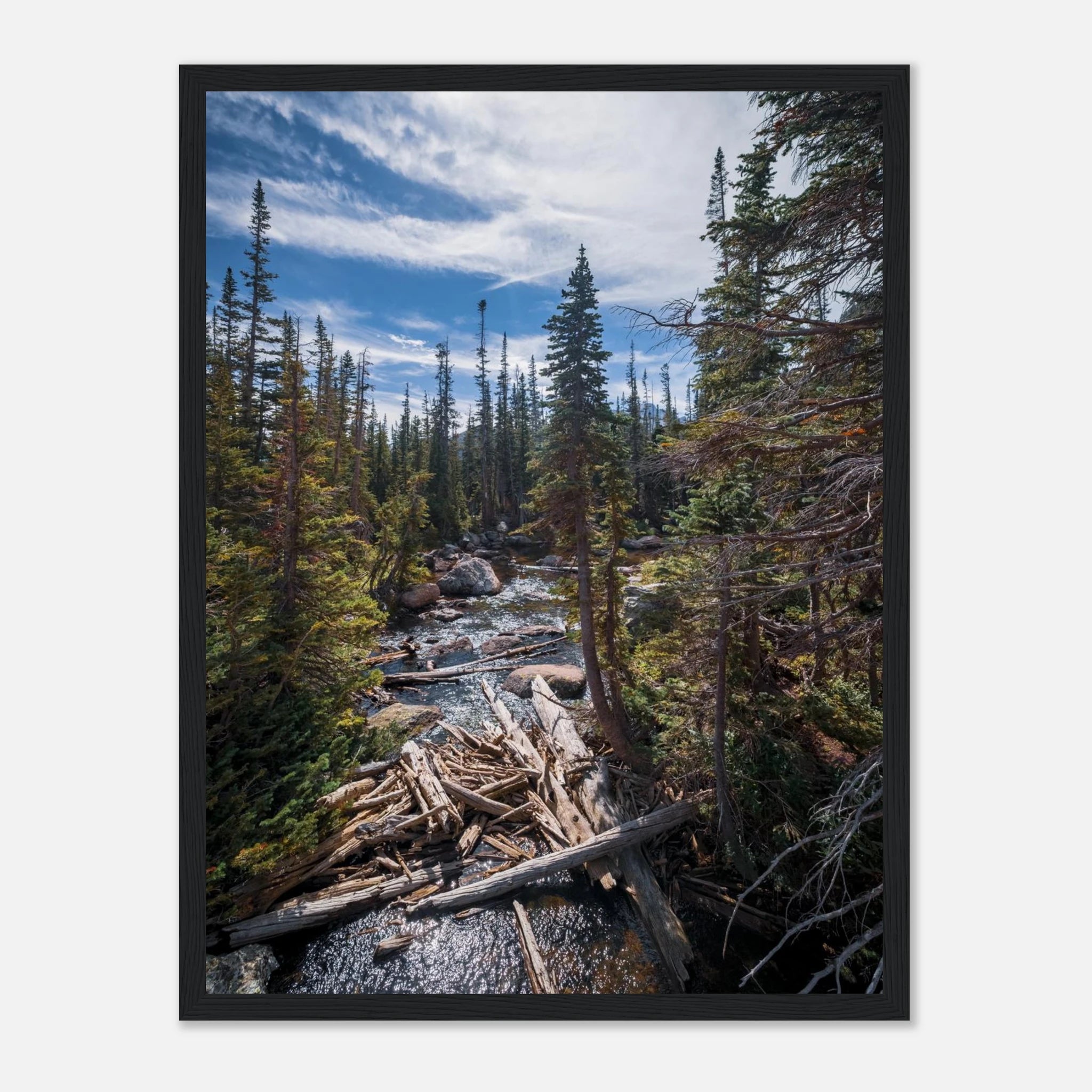 90775b14-ac7e-42ce-b0a7-eacf35f66c68