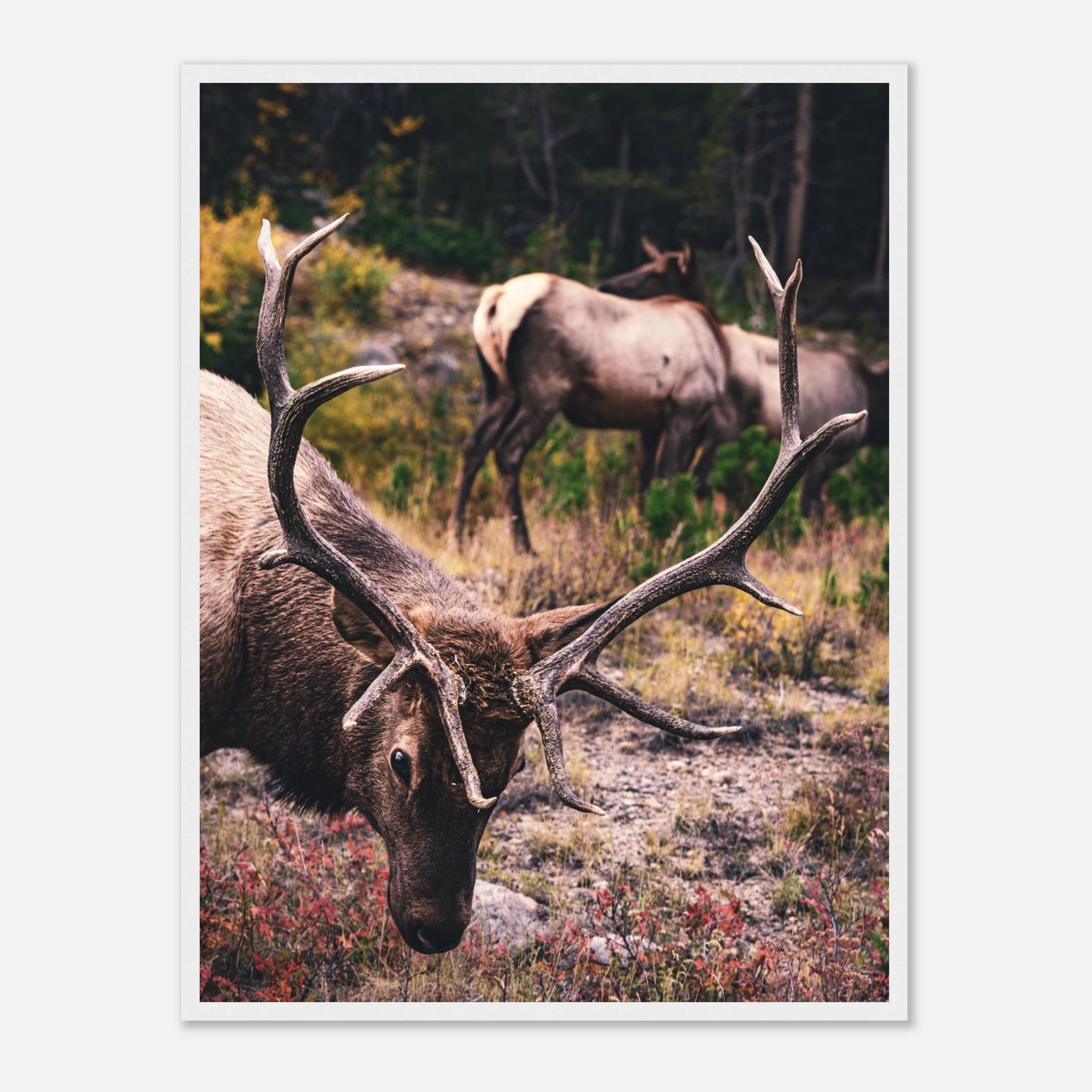 921c2742-bae4-4d35-82fe-7390c3e668f6