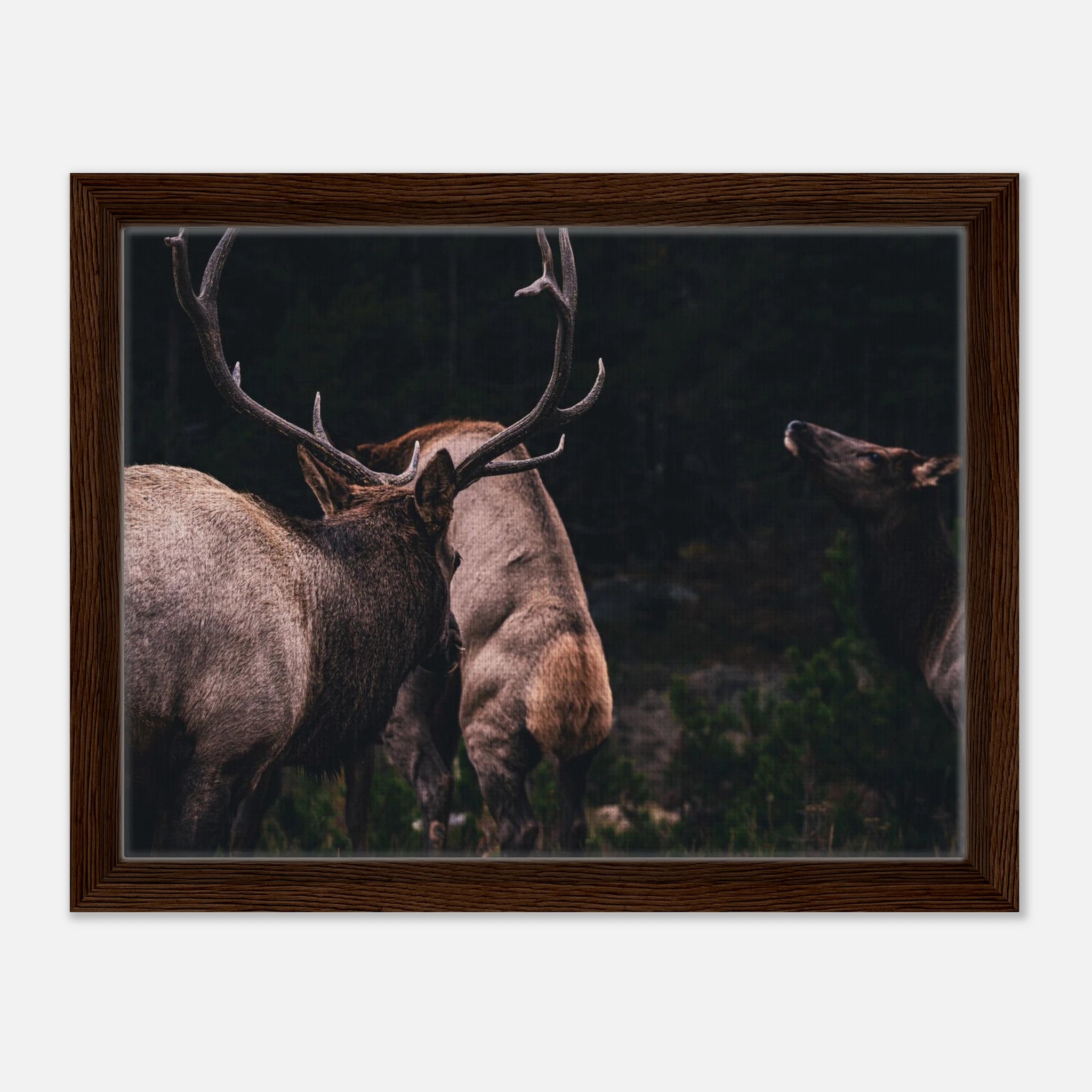 927c1837-d5ac-4fae-8bbb-ae04c2803978