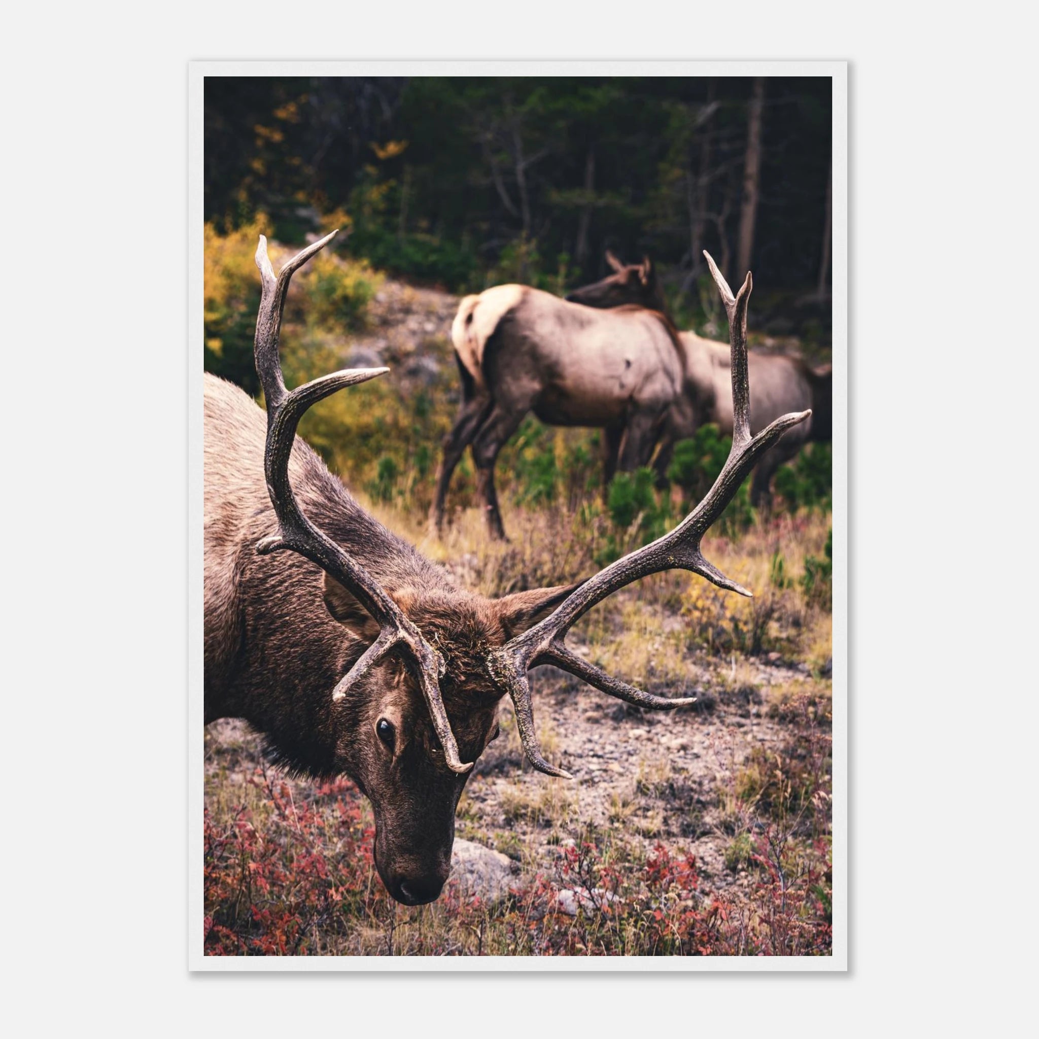 92a22780-e114-47e0-ba14-3eb71e755318