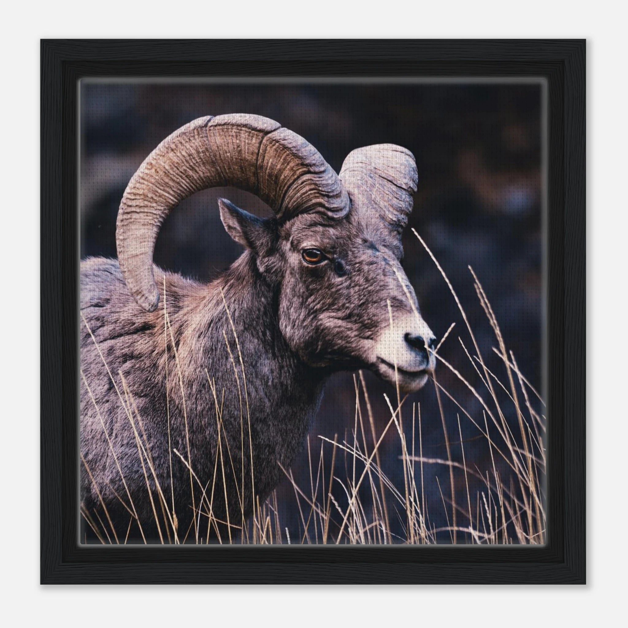 940ca9bf-1ce0-4bc1-8d8c-89c30200b00c