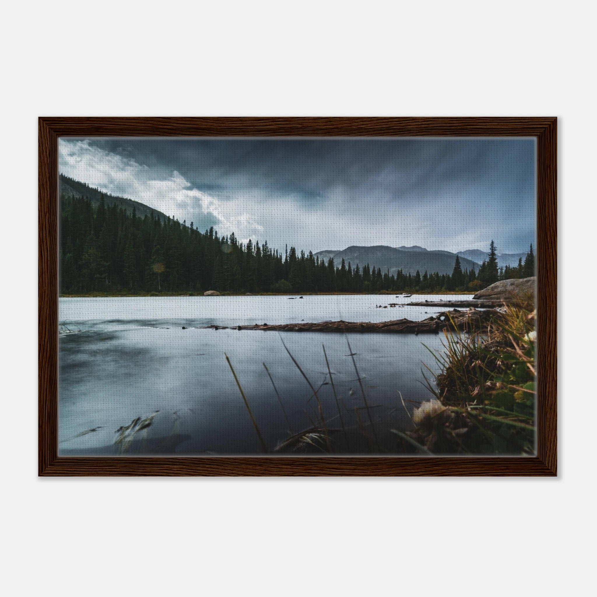 95ac38b1-0413-46af-b347-236f18e6634f