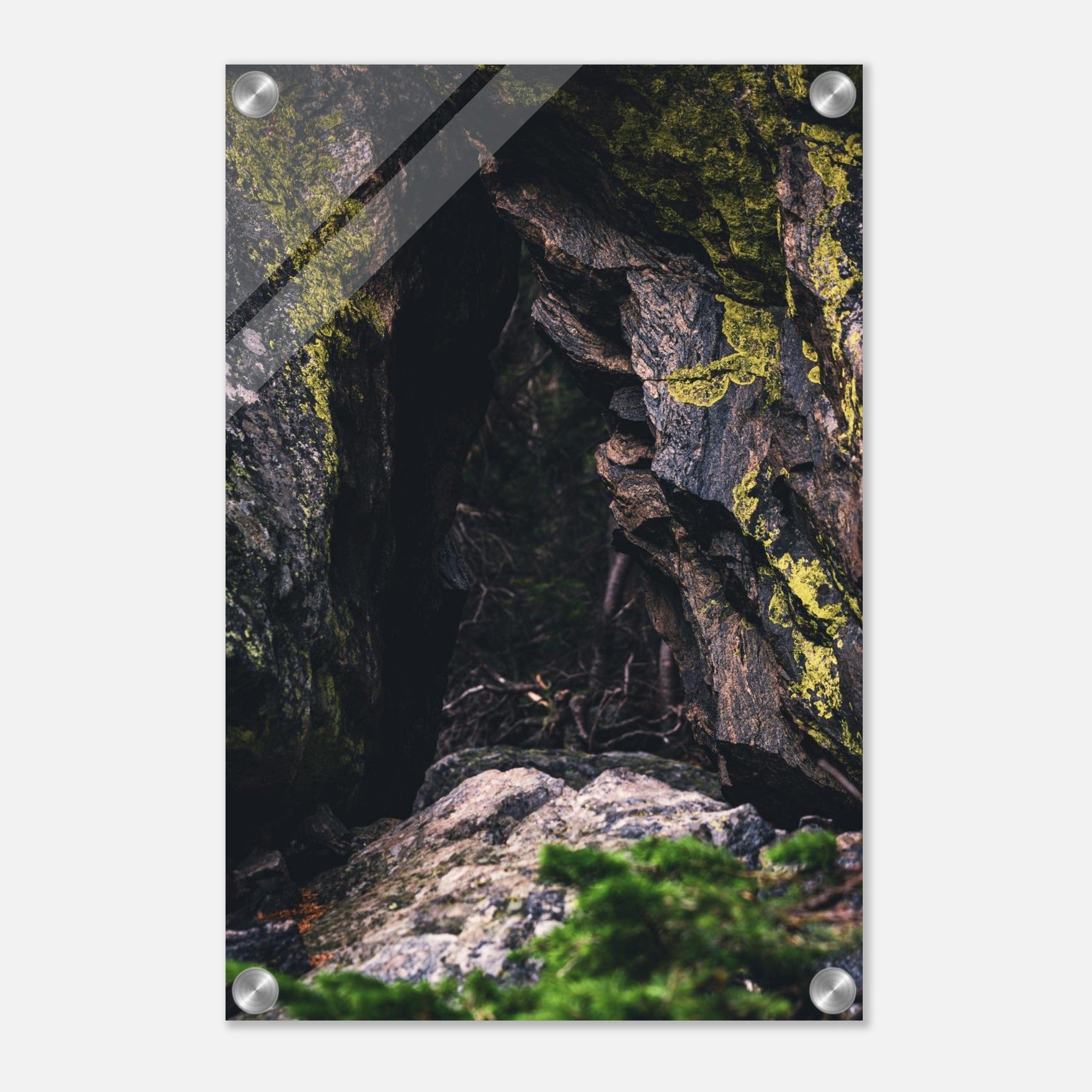 964bc855-cb07-460b-9d62-86d4b8ca7881