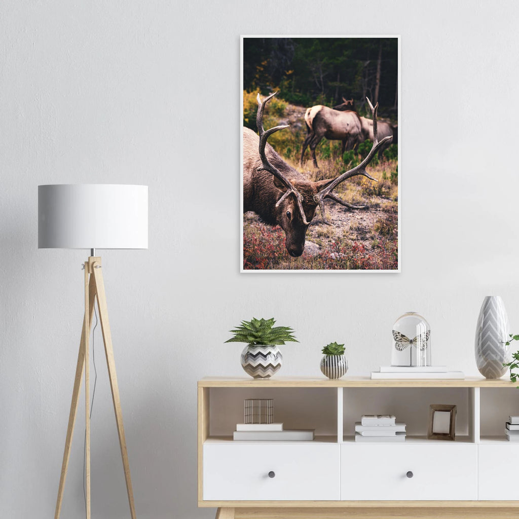 9664bc9d-f401-47e2-b412-1f075cdf1f75