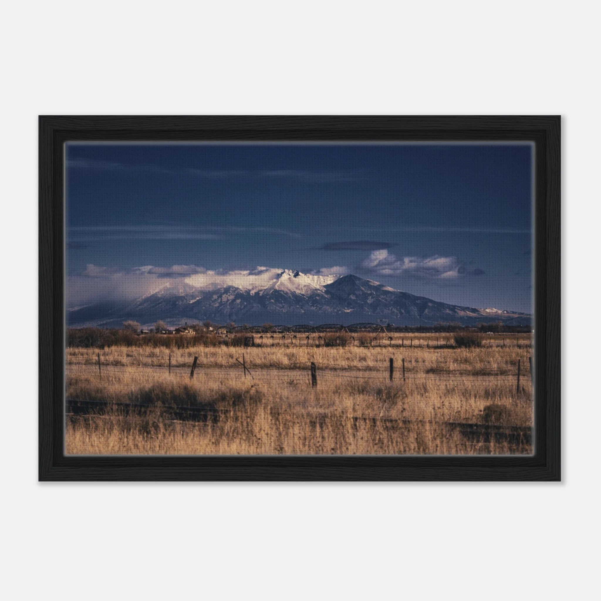 97d5922a-ab8e-4a42-a95e-8b375bf454e0