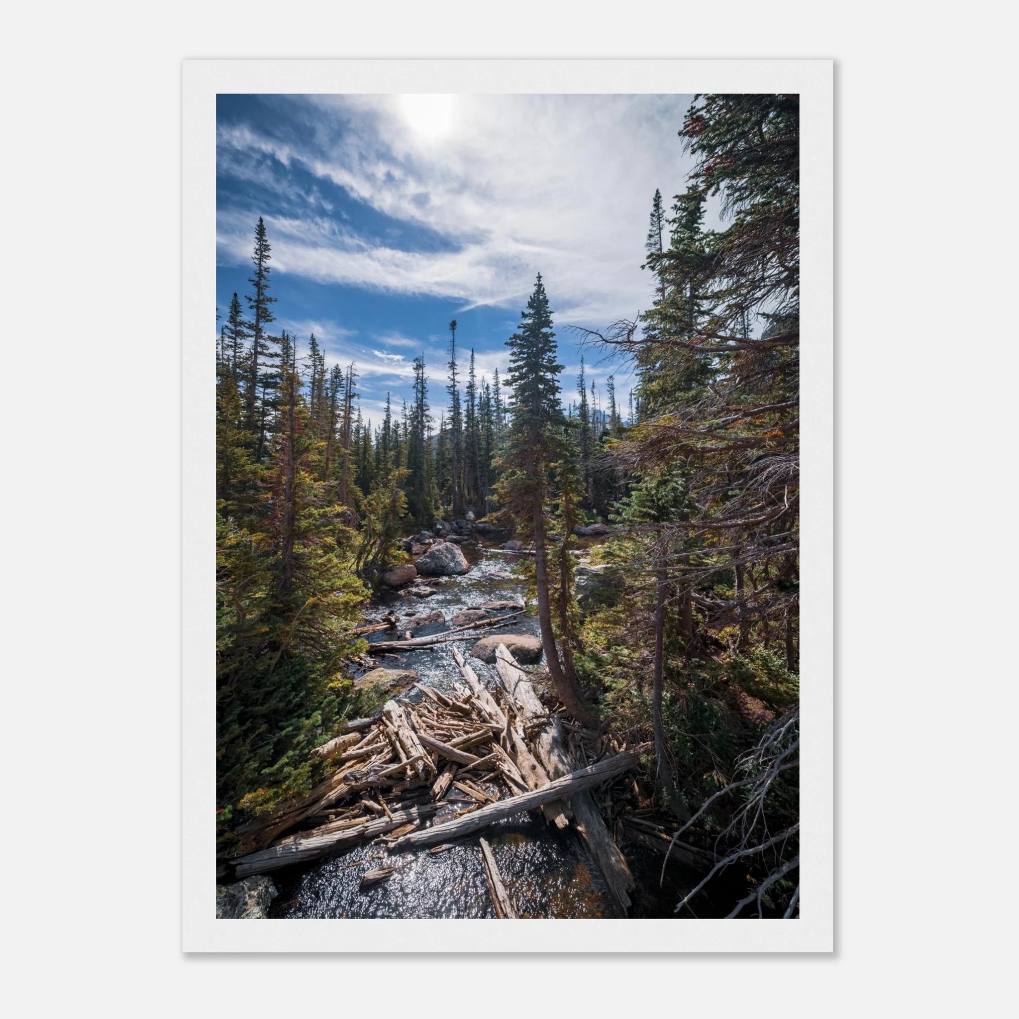 996dbffc-9e0b-4517-ada2-5ee443d91a30