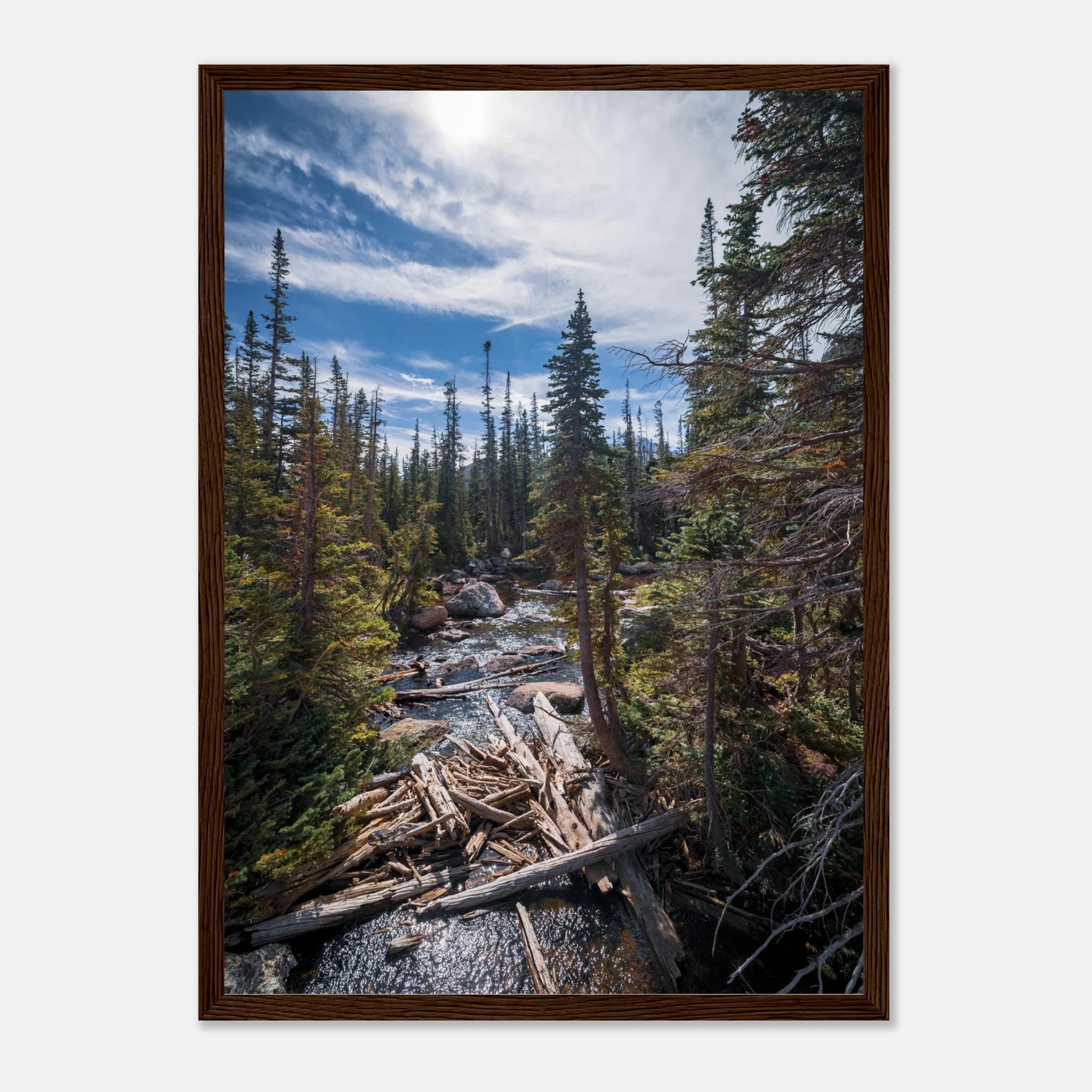 99b5f374-0f19-4f94-8322-78e038da46d2